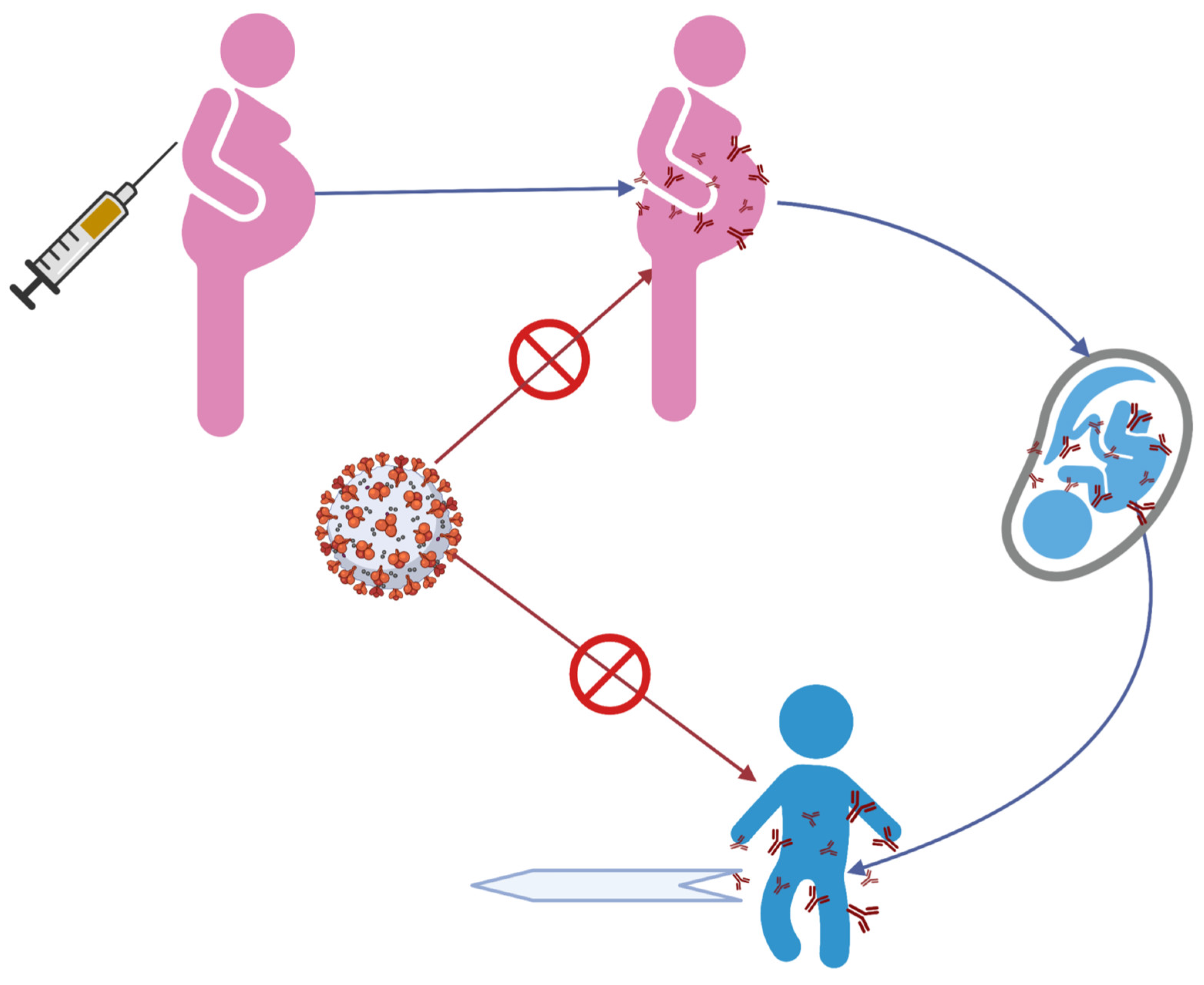 Vaccines 10 01454 g001 550