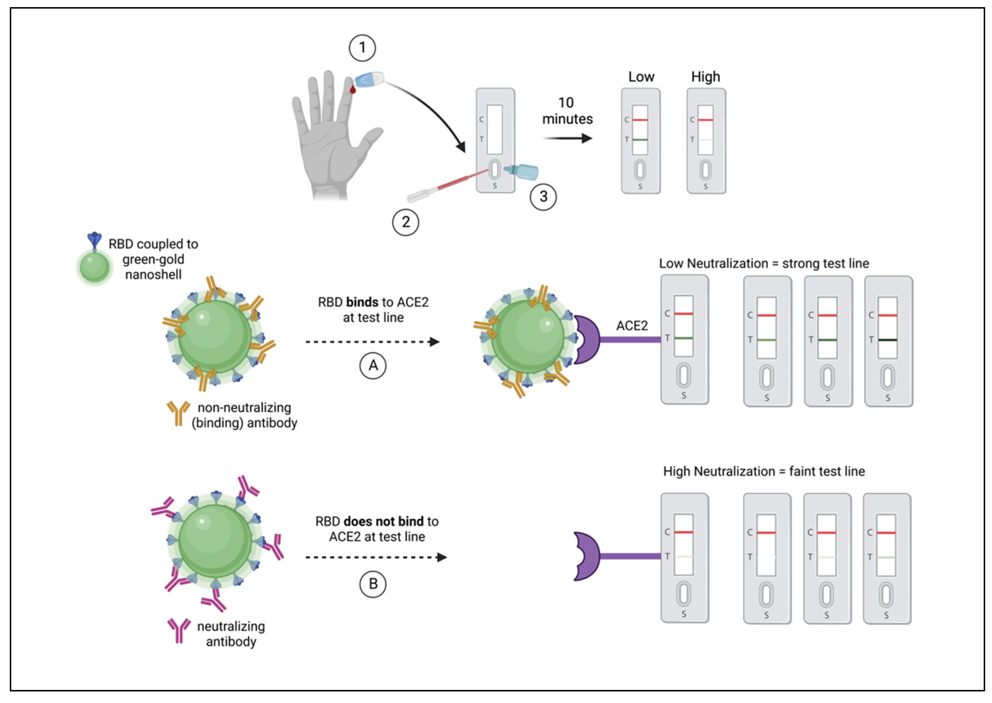 CITEST Diagnostics Antigen Rapid Schnelltest von Citest im Preisvergleich -  AERA-Online