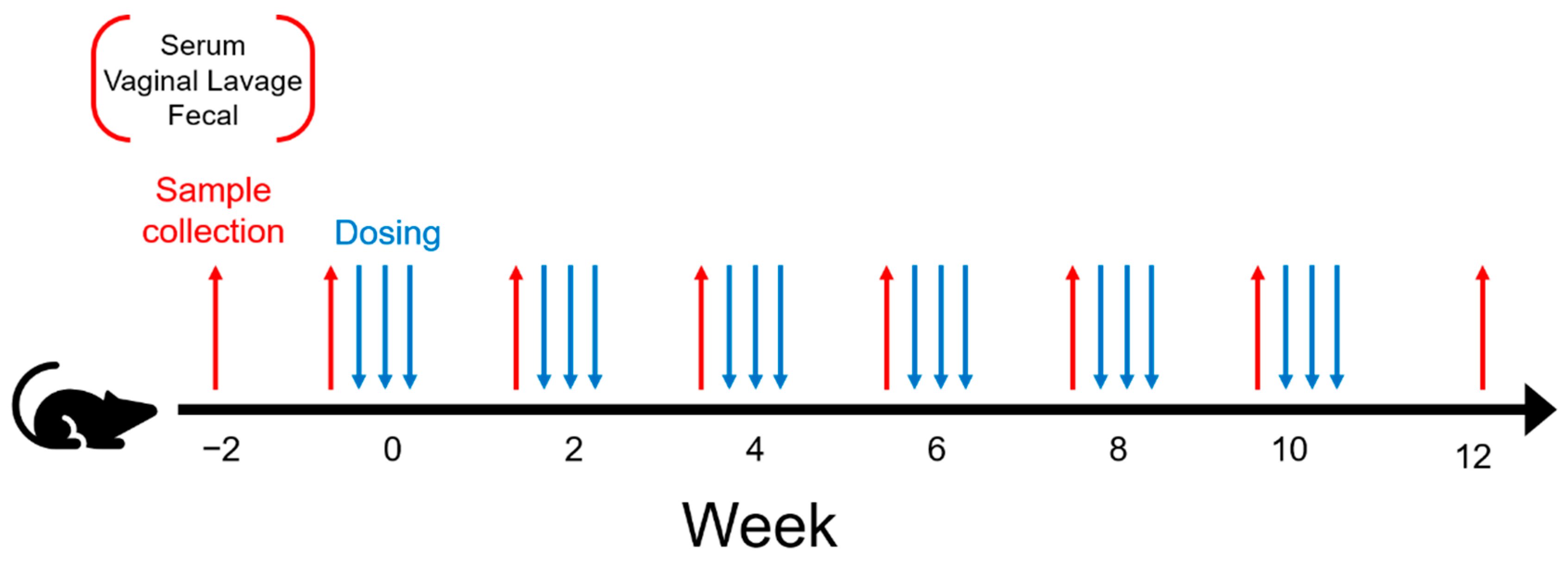 Vaccines 10 01465 g001 550