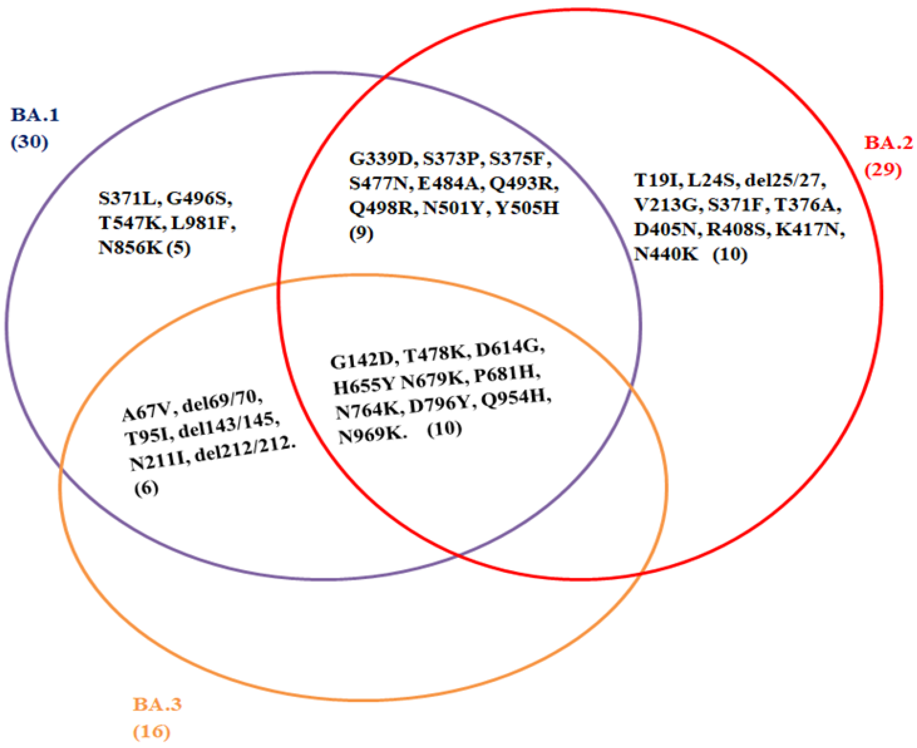 Vaccines 10 01468 g001
