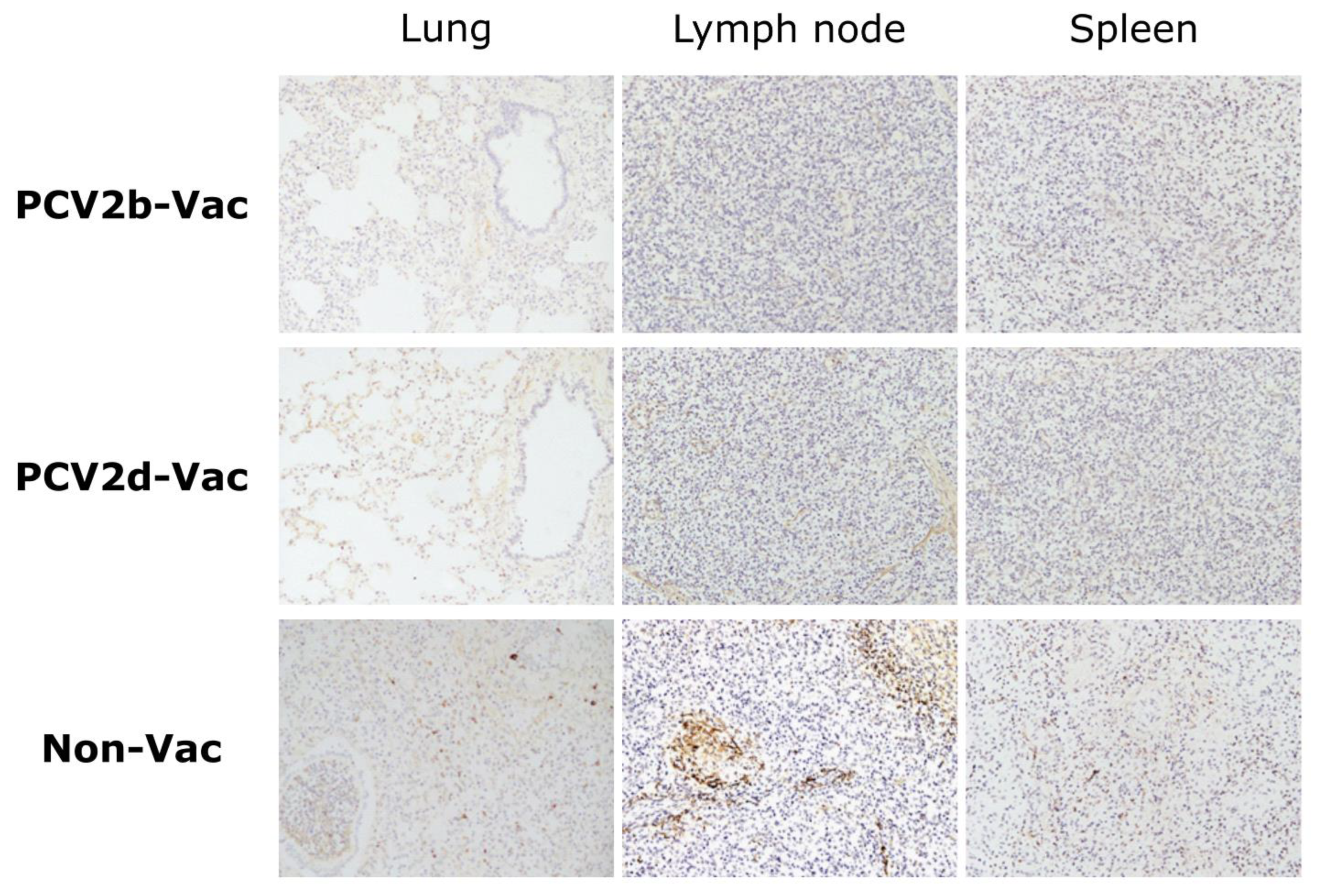 Vaccines 10 01469 g008
