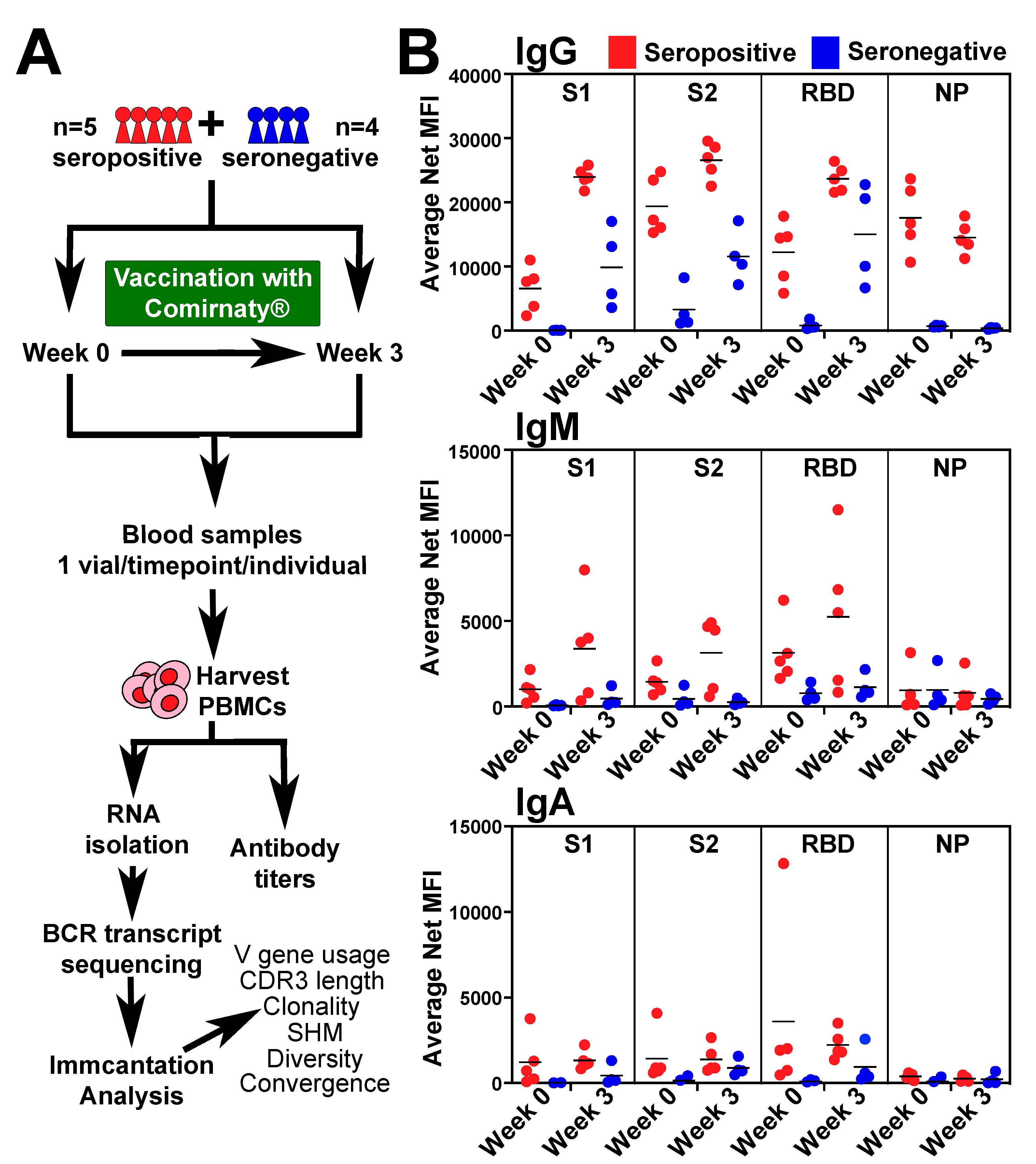 Vaccines 10 01477 g001