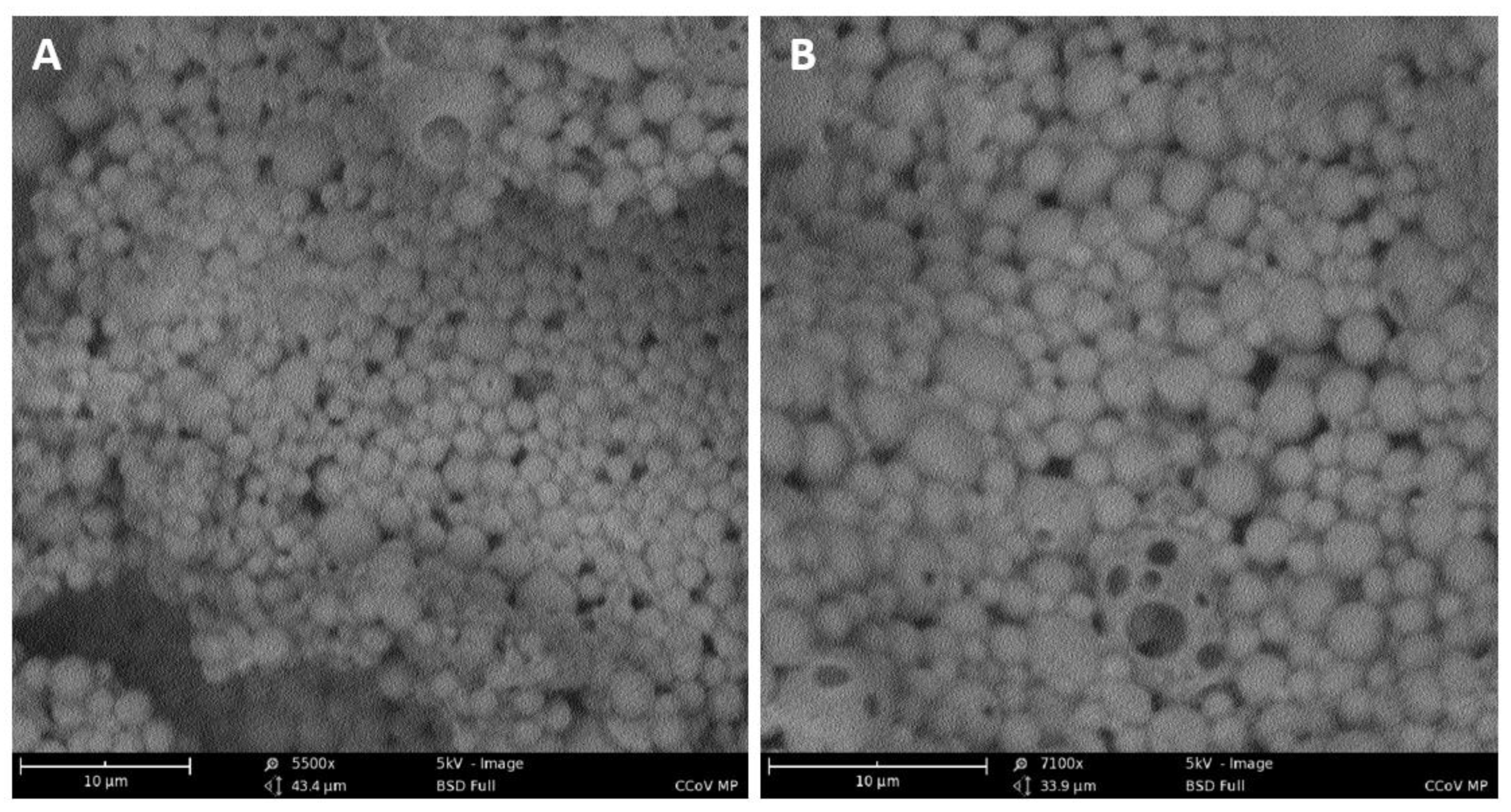 Vaccines 10 01491 g003 550