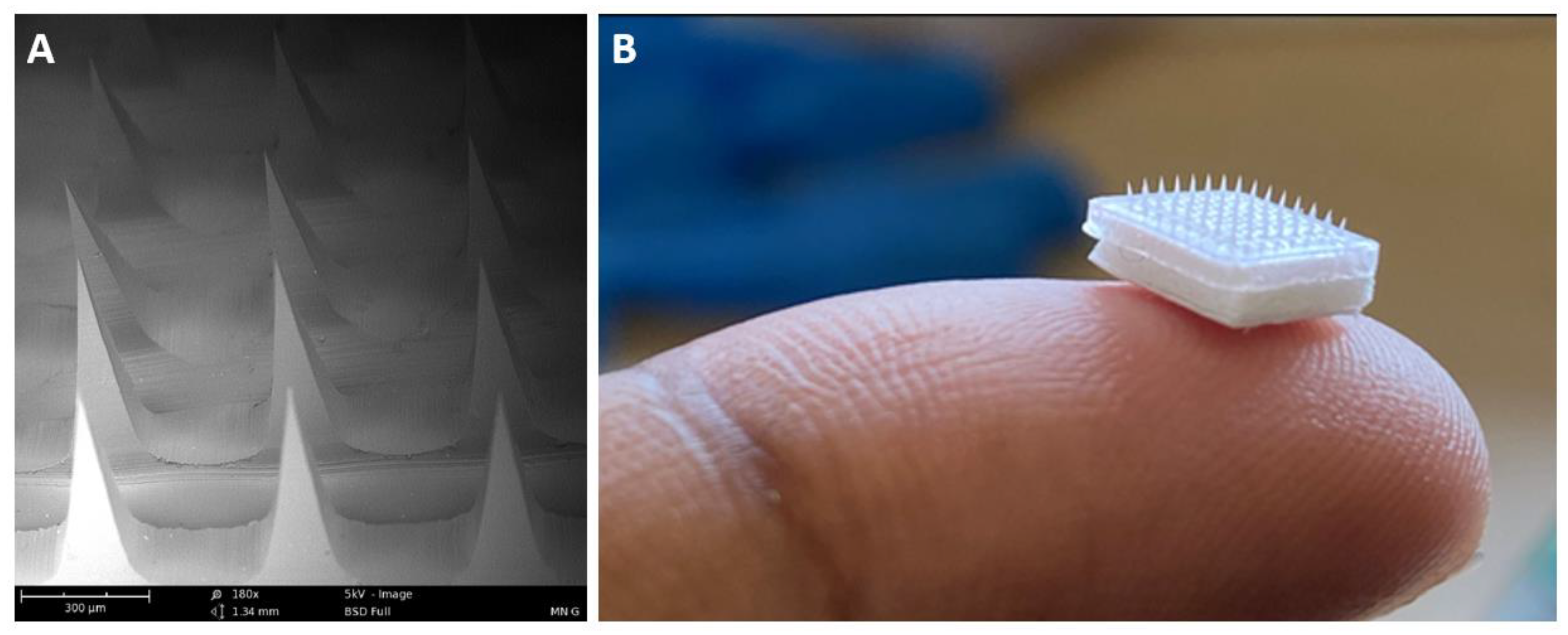 Vaccines 10 01491 g008 550