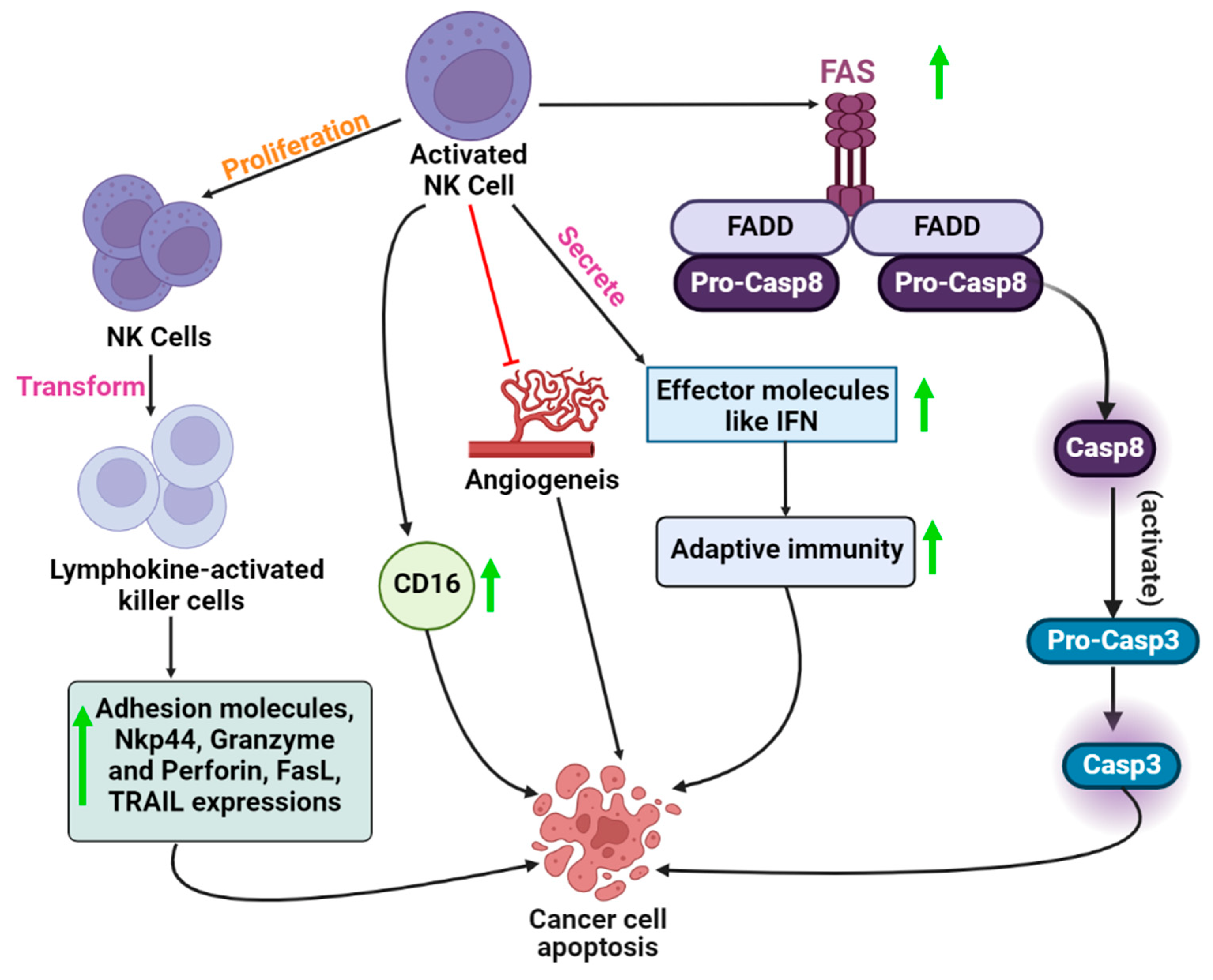 Vaccines 10 01493 g002