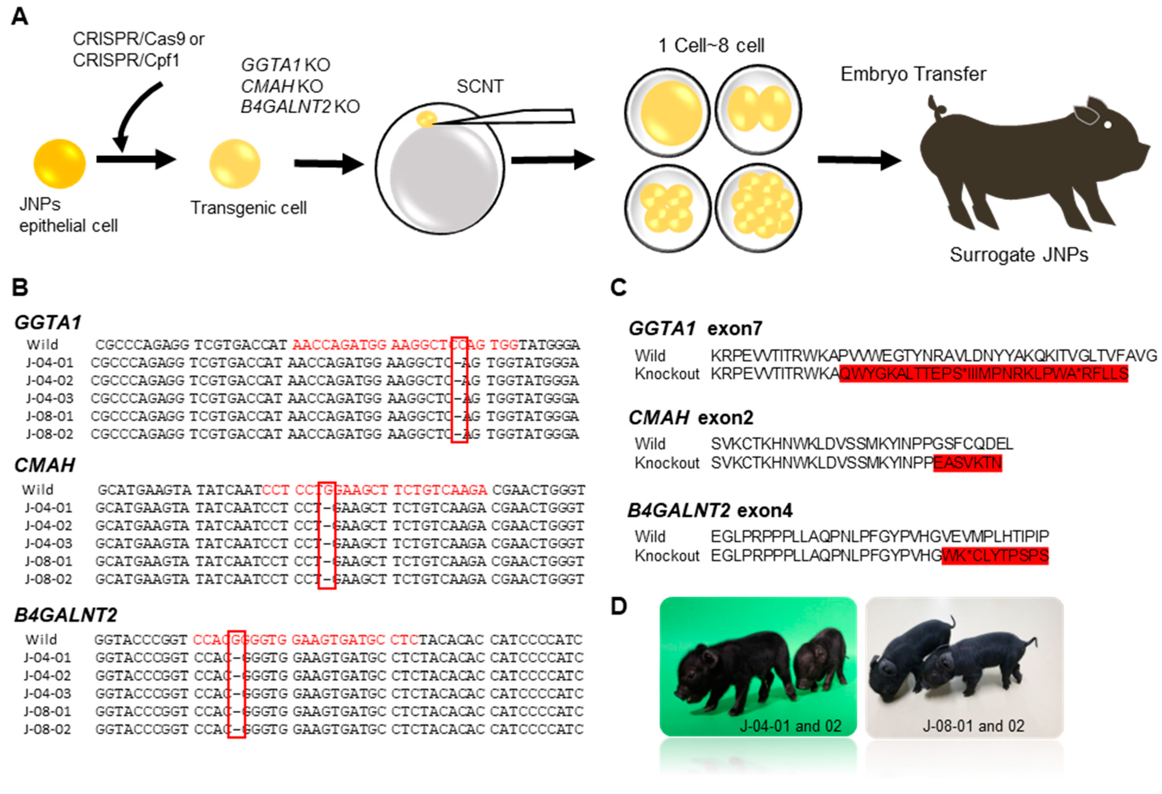 Vaccines 10 01503 g001 550