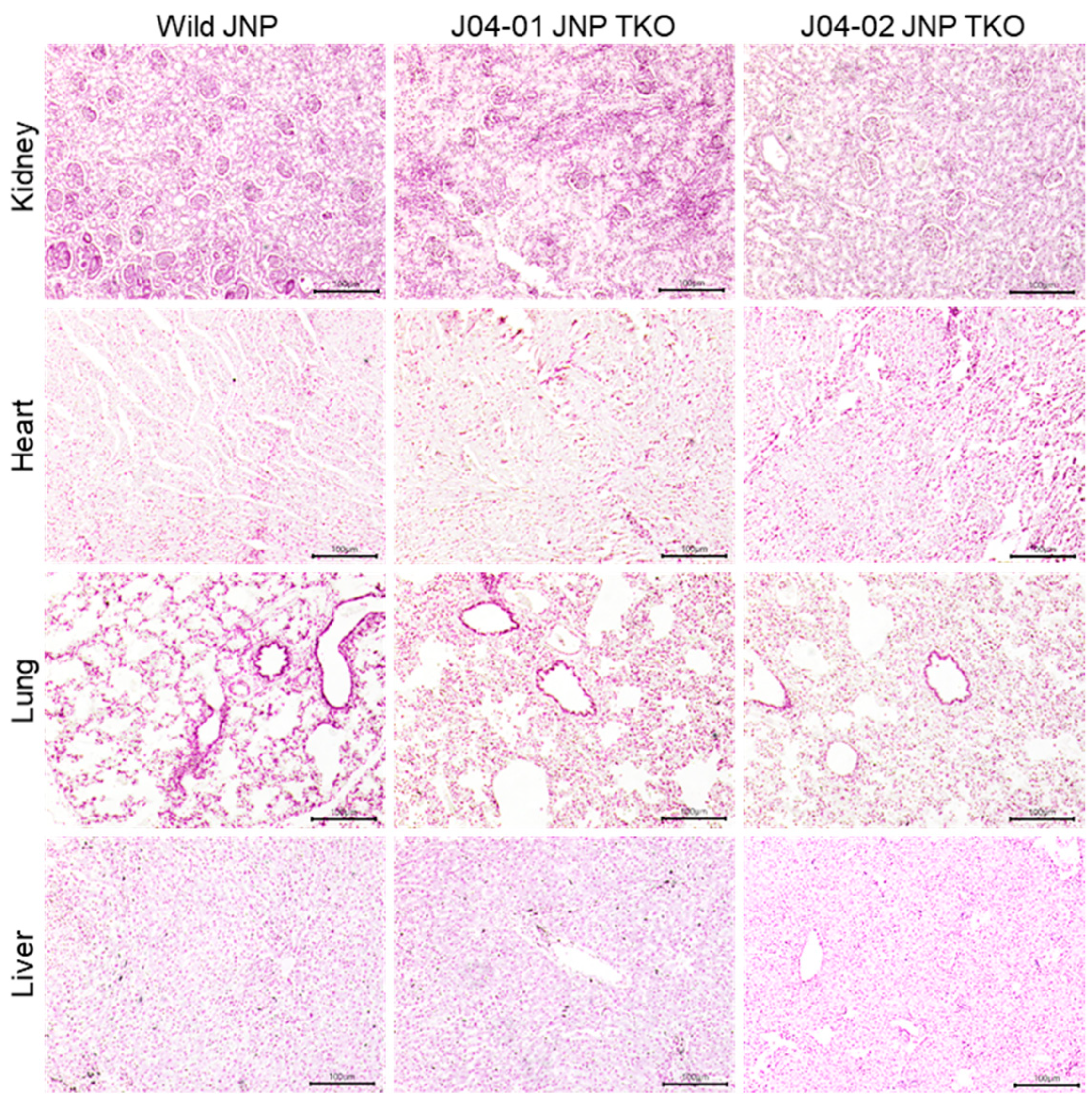 Vaccines 10 01503 g003 550