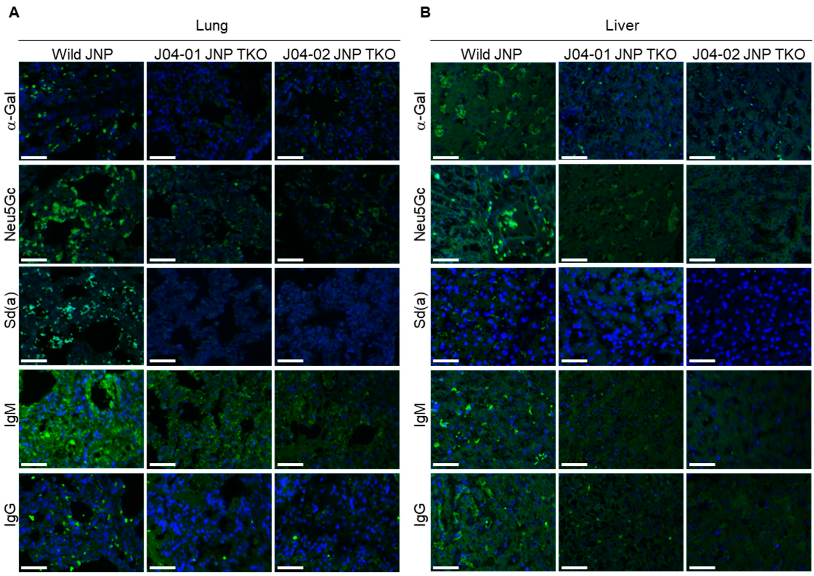 Vaccines 10 01503 g005 550