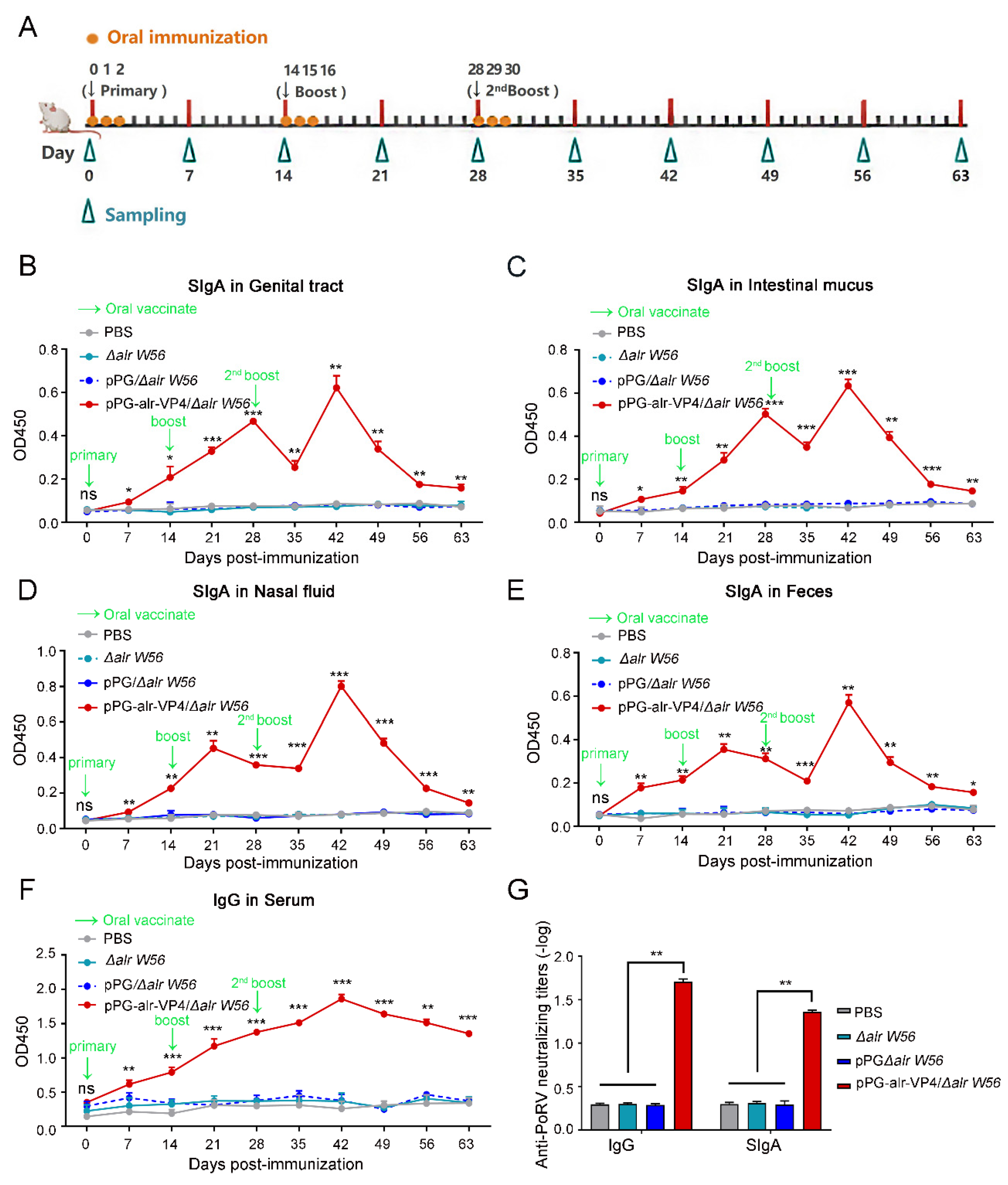 Vaccines 10 01510 g005 550
