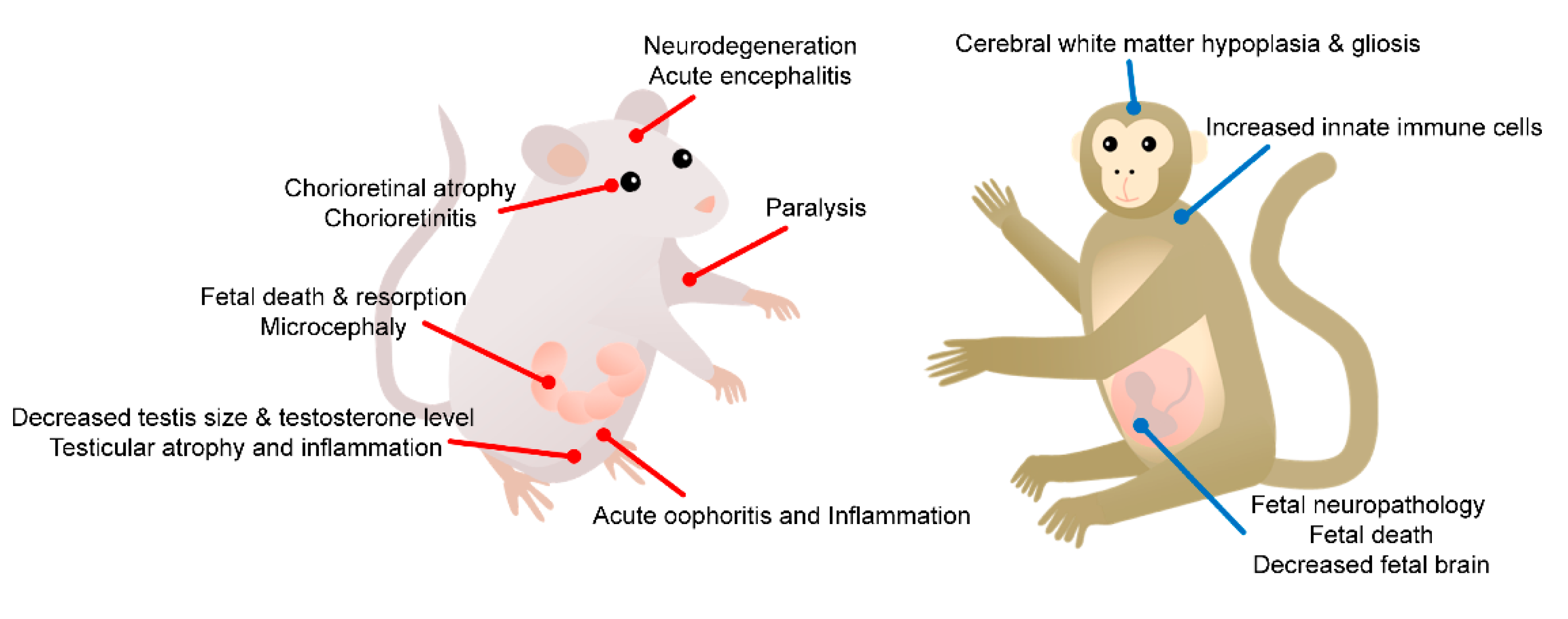 Vaccines 10 01517 g002 550