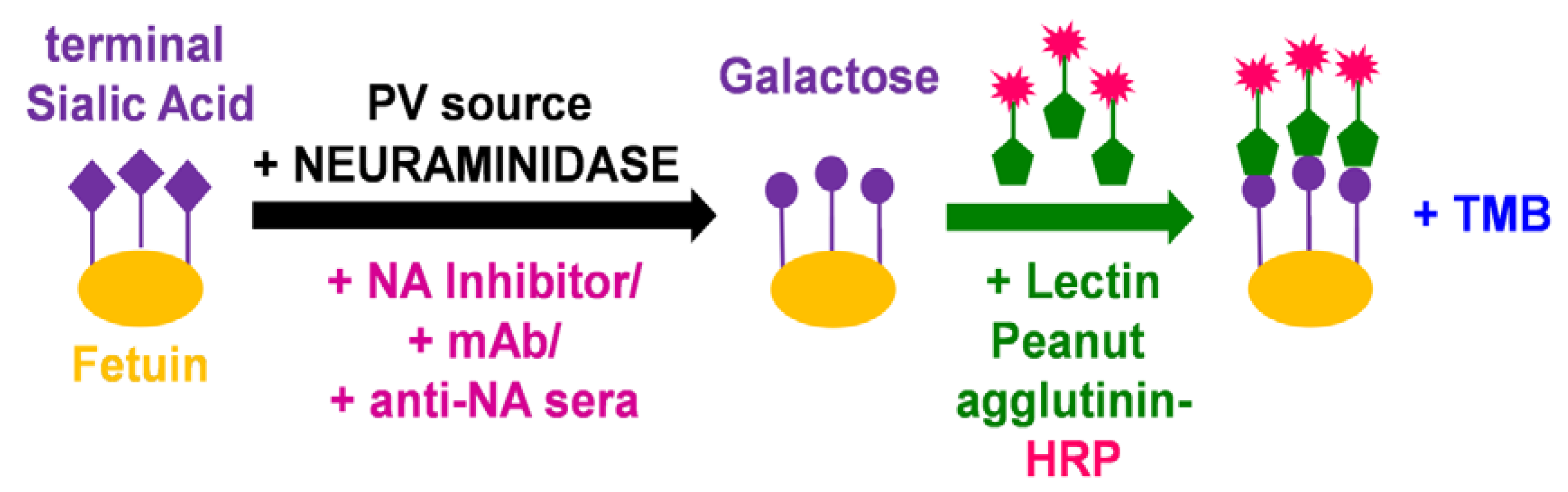 Vaccines 10 01520 g001