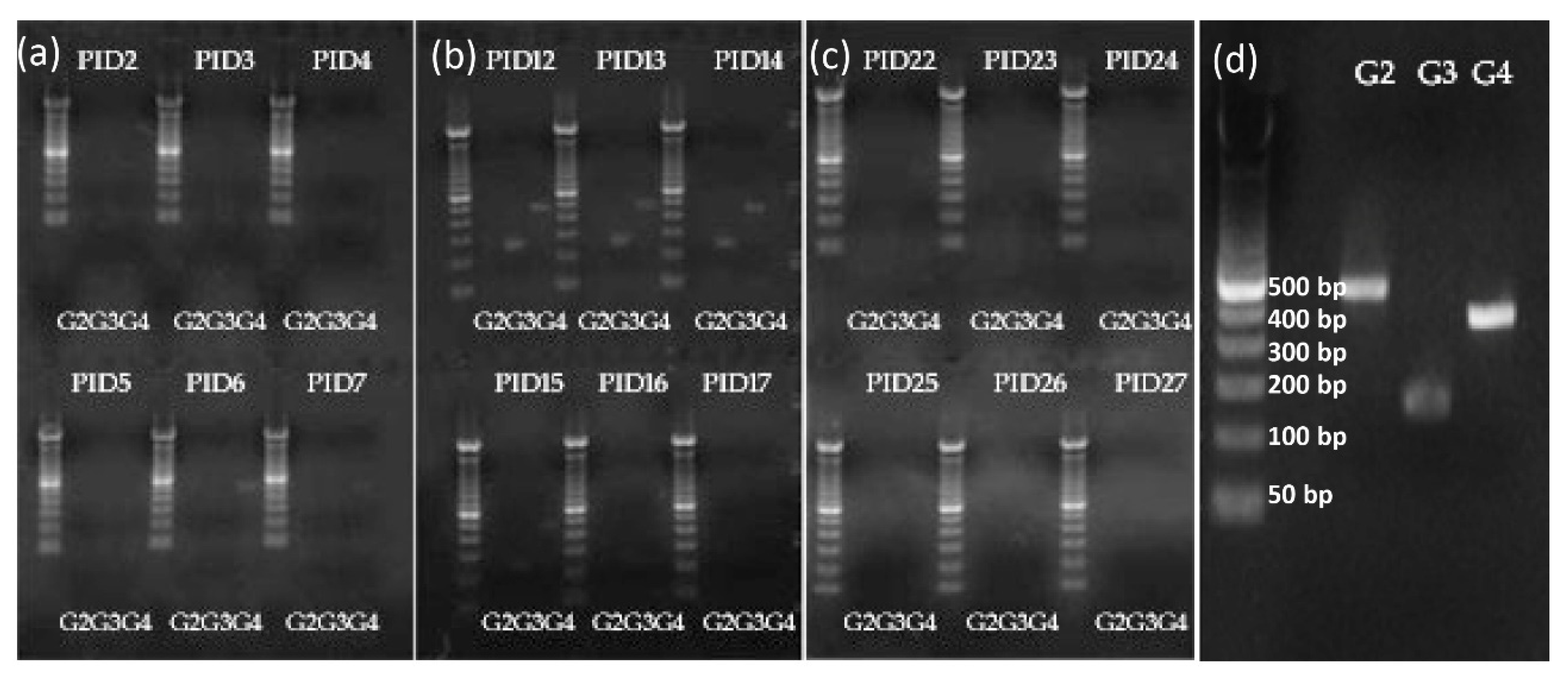 Vaccines 10 01529 g002 Vaccines 10 01529 g002