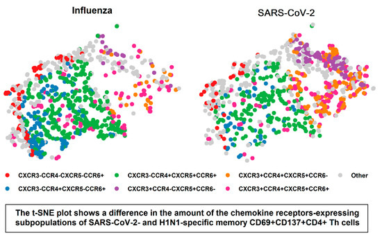 In Vitro Stimulation with Live SARS-CoV-2 Suggests Th17 Dominance In ...
