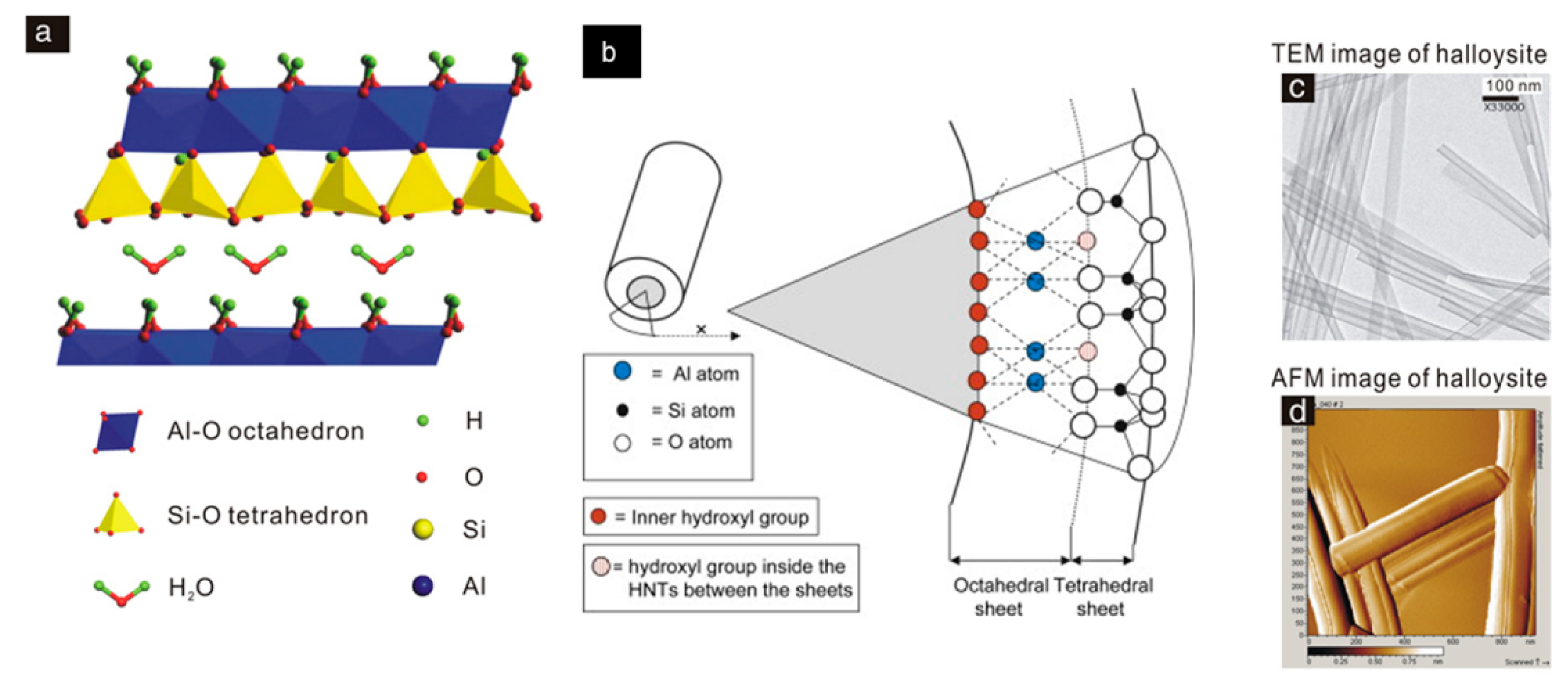 Vaccines 10 01549 g002 Vaccines 10 01549 g002
