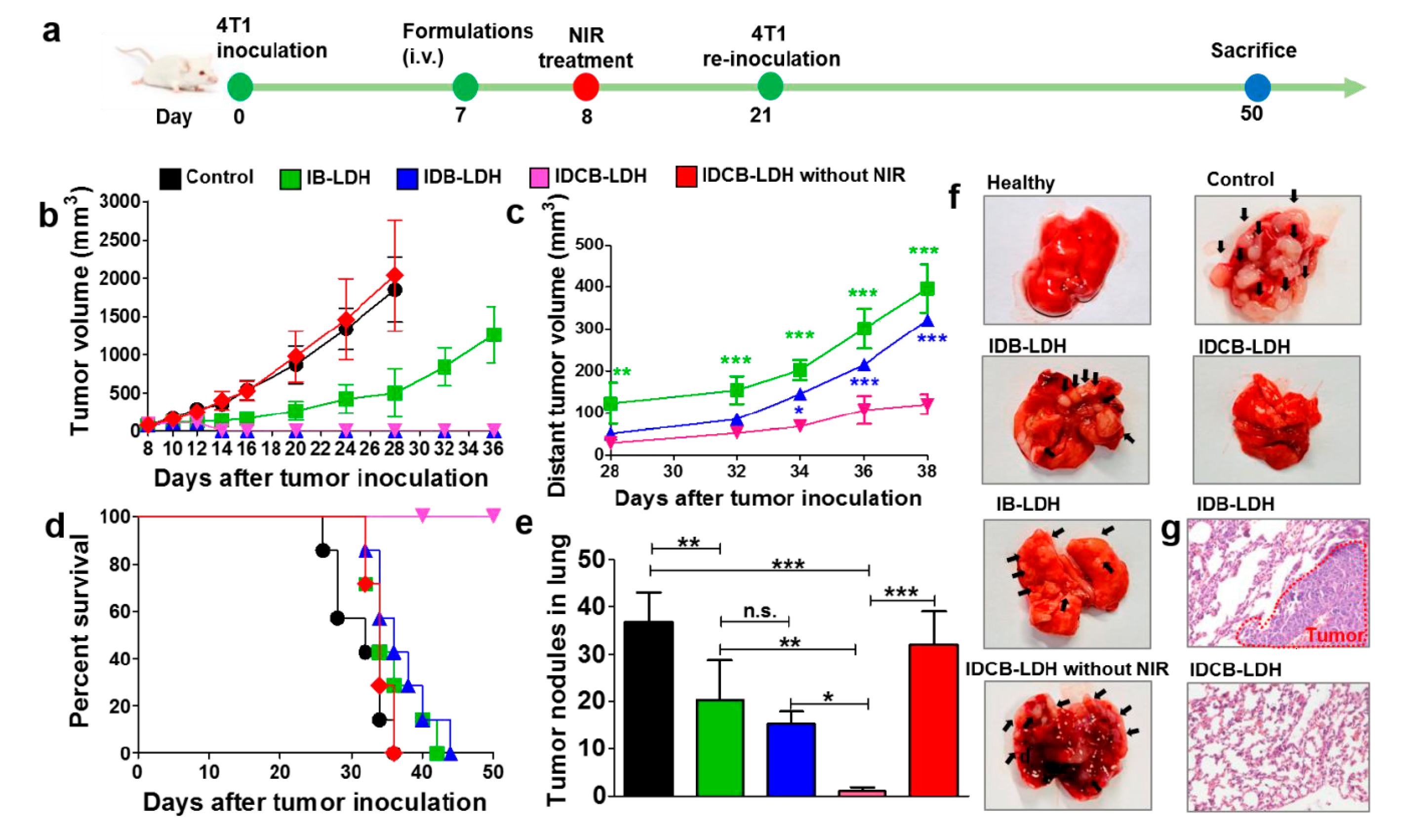 Vaccines 10 01549 g011 Vaccines 10 01549 g011