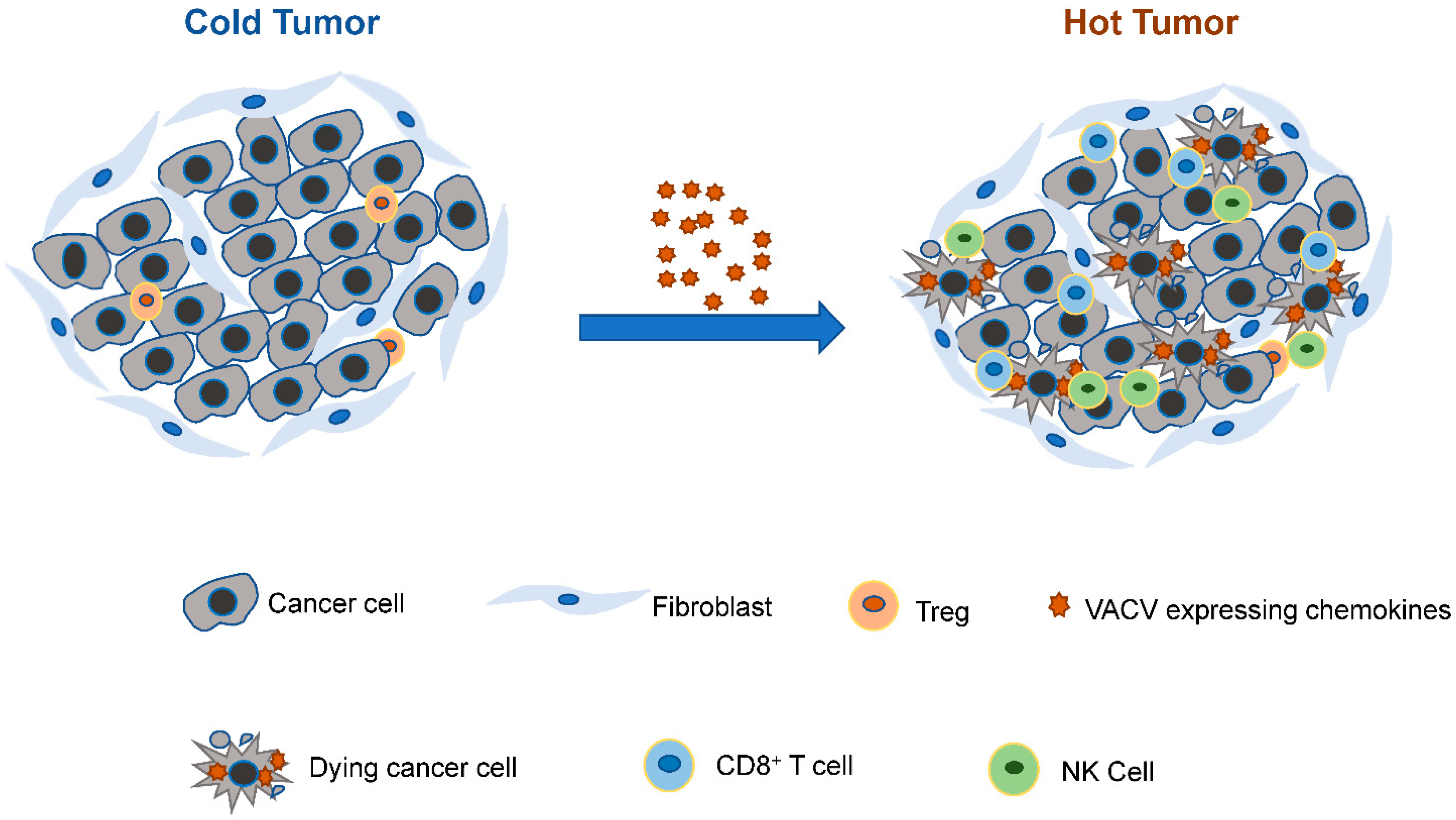 Vaccines 10 01552 g001 Vaccines 10 01552 g001