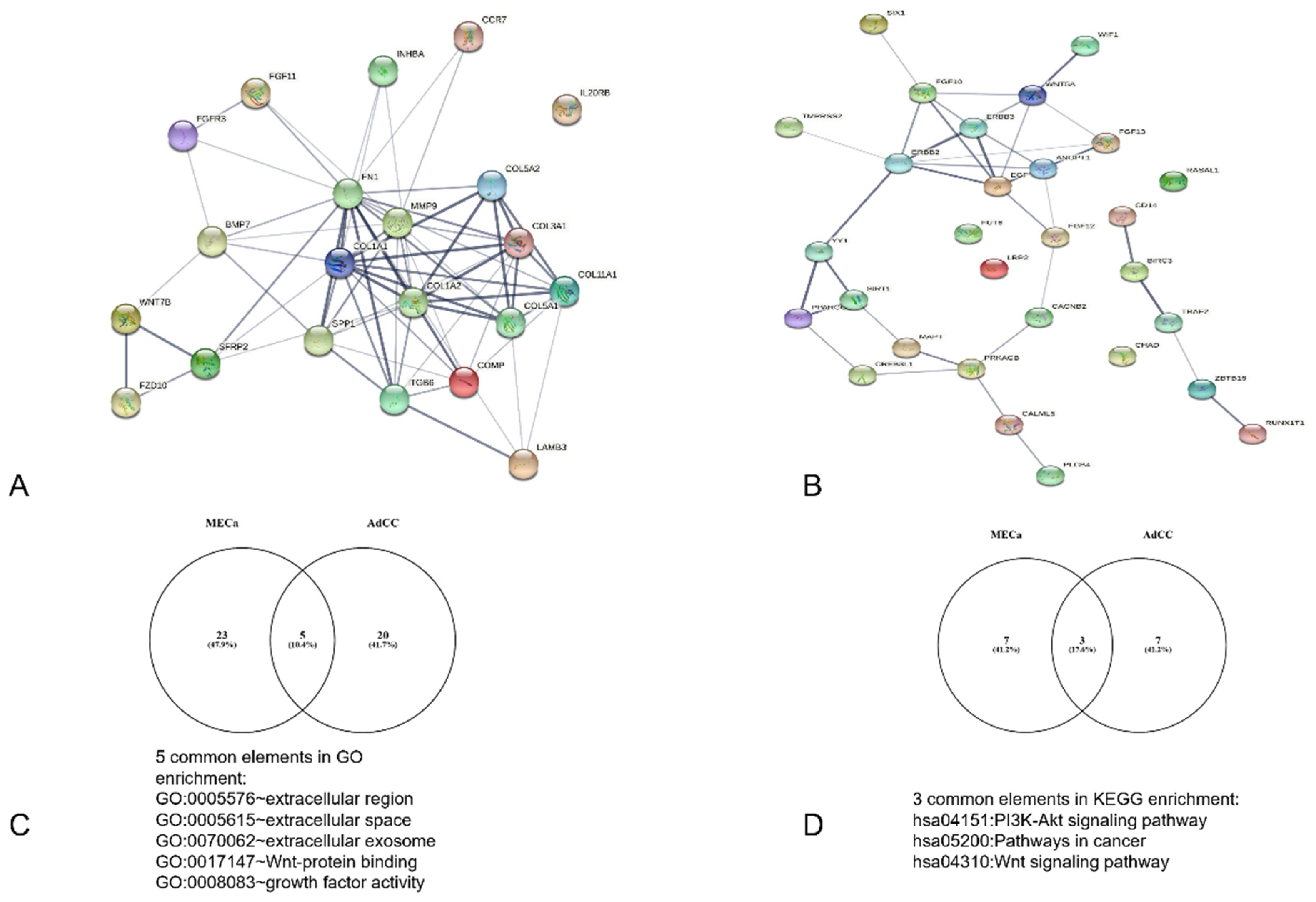 Vaccines 10 01557 g001 Vaccines 10 01557 g001