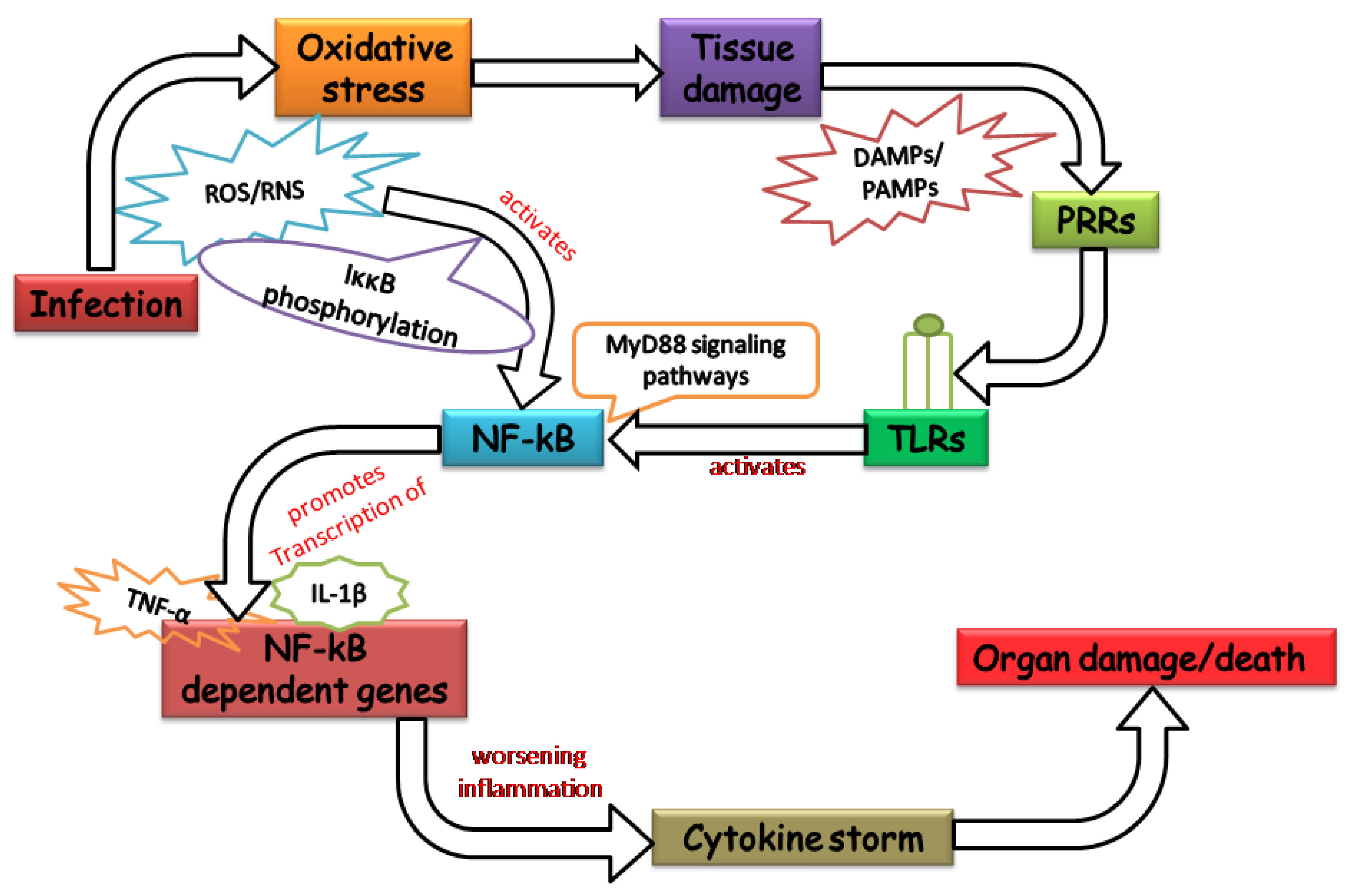 Vaccines 10 01575 g002 Vaccines 10 01575 g002