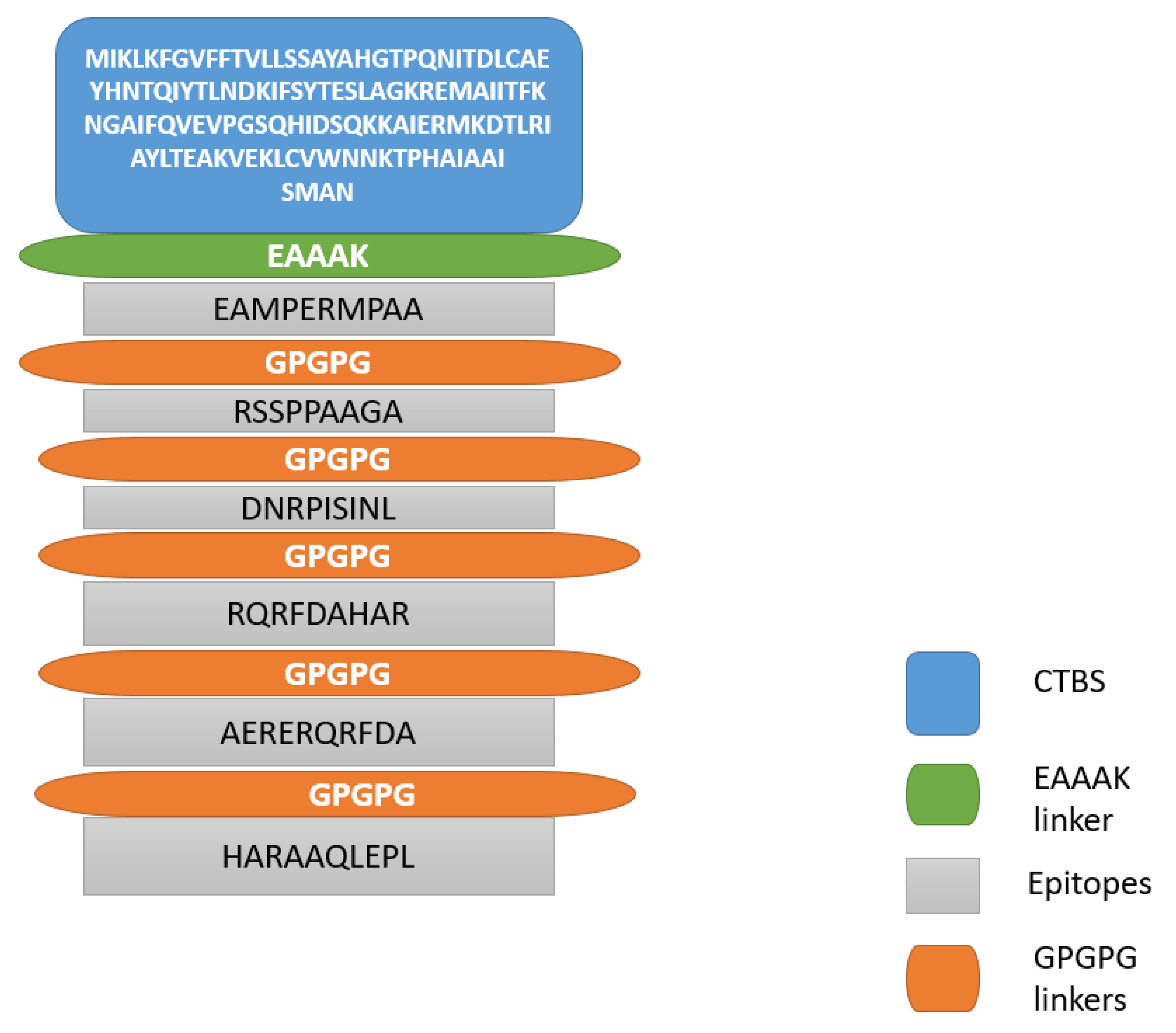 Vaccines 10 01580 g006 Vaccines 10 01580 g006