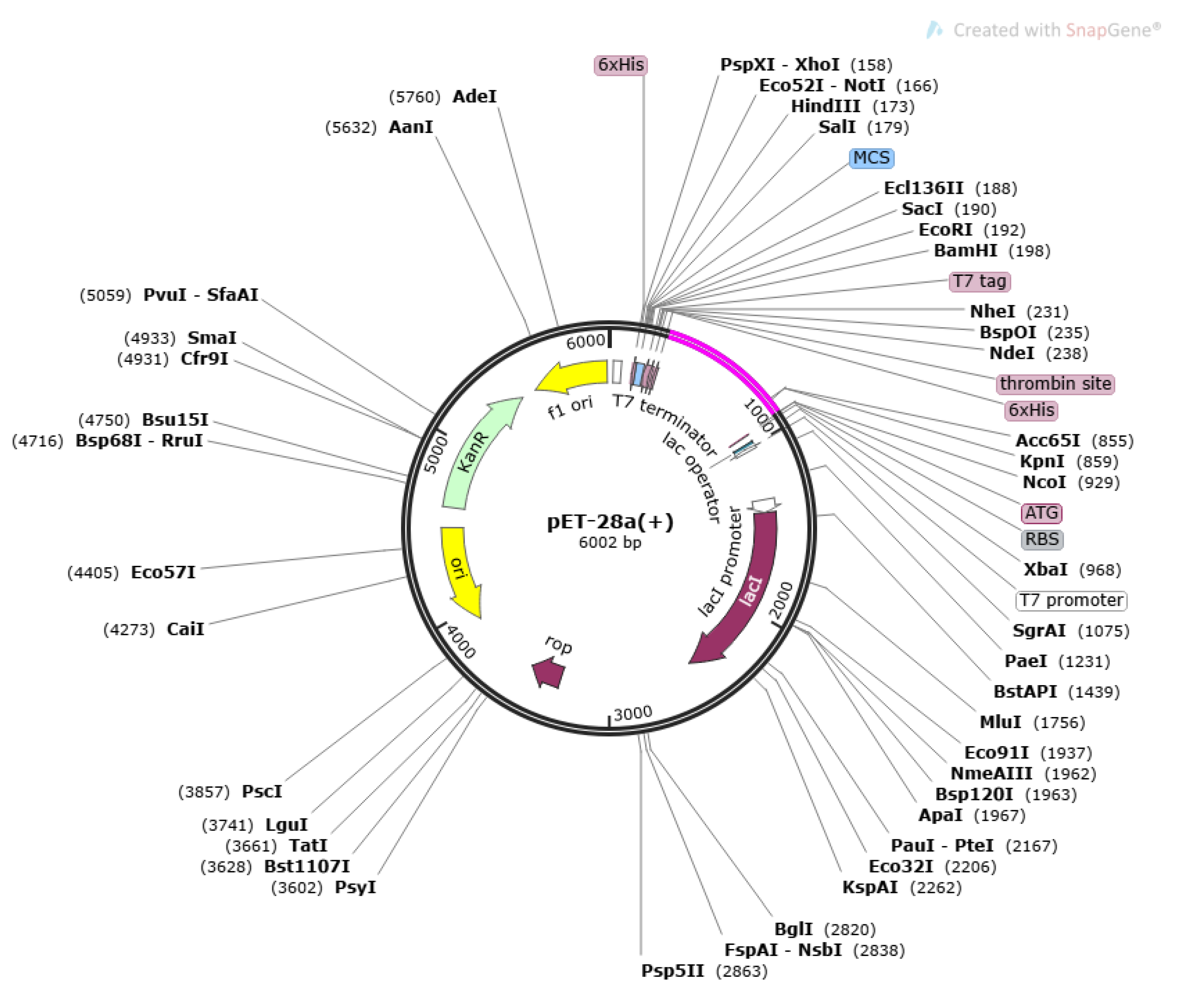 Vaccines 10 01580 g008 Vaccines 10 01580 g008