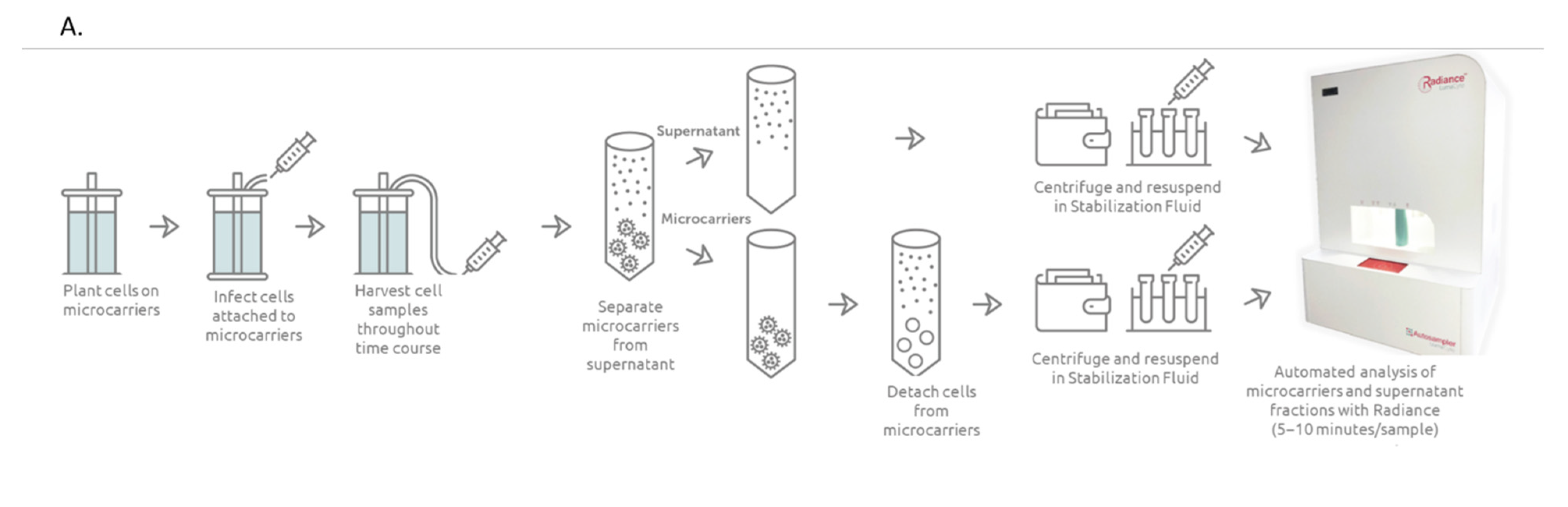 Vaccines 10 01589 g002a