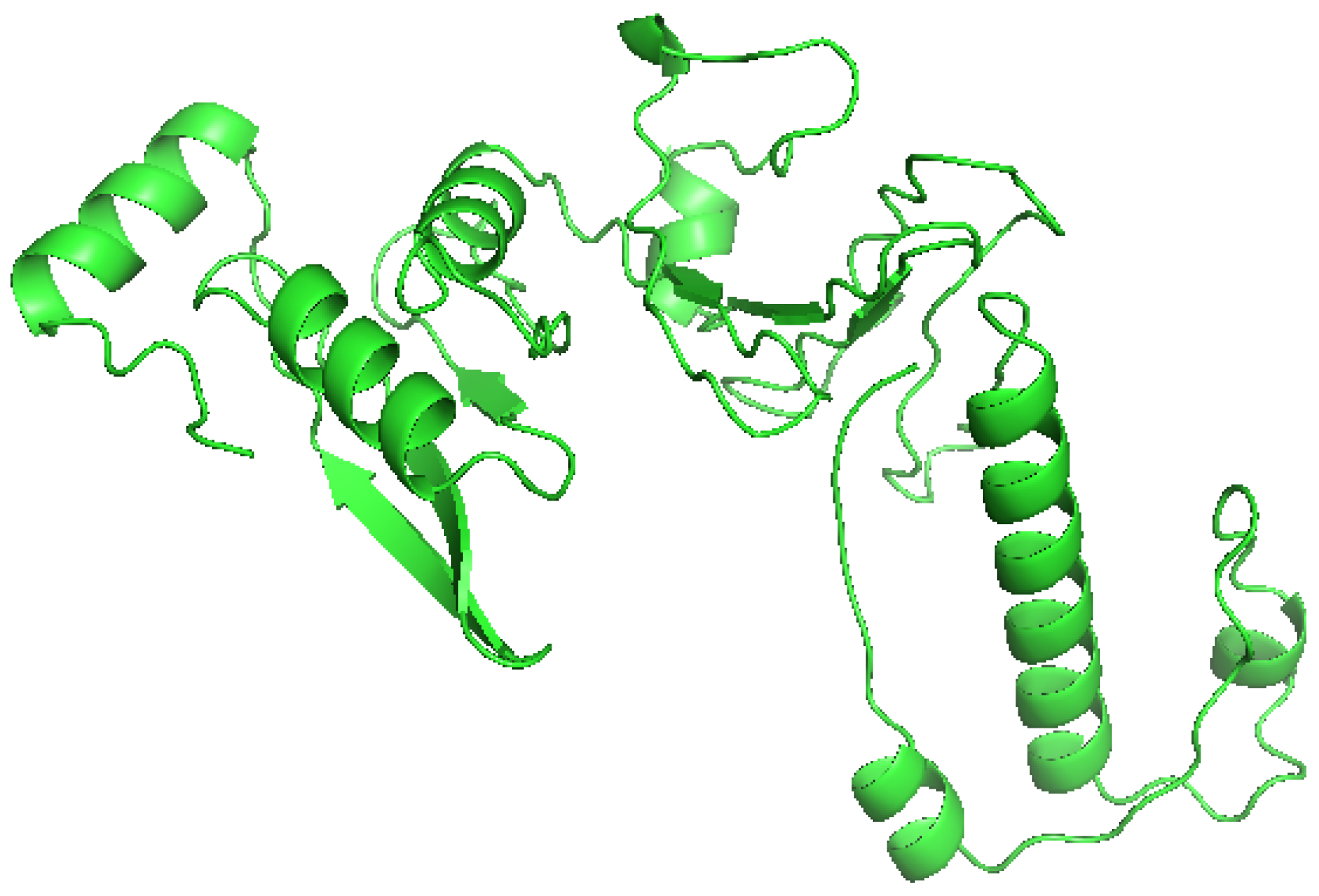 Vaccines 10 01598 g002