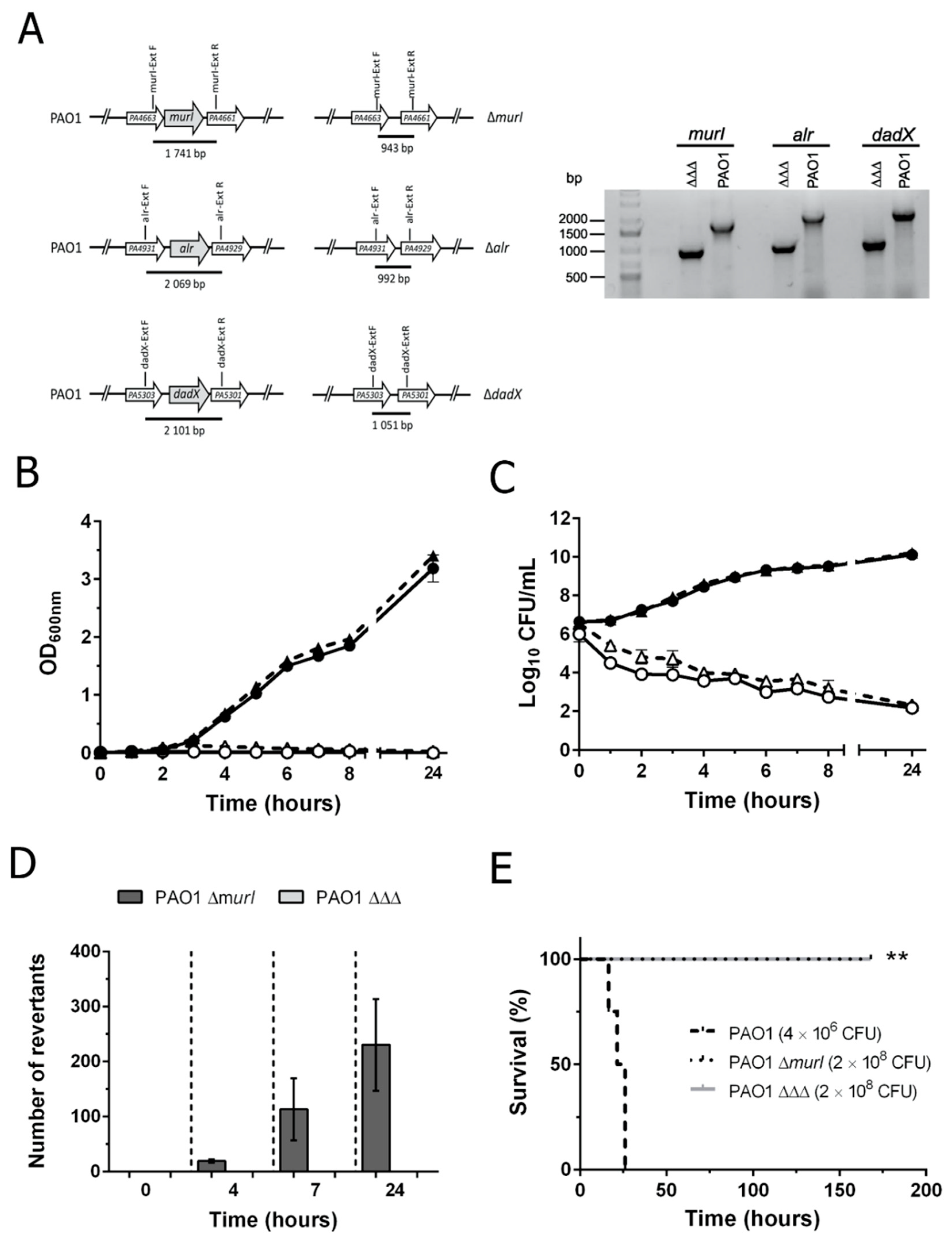 Vaccines 10 01622 g001