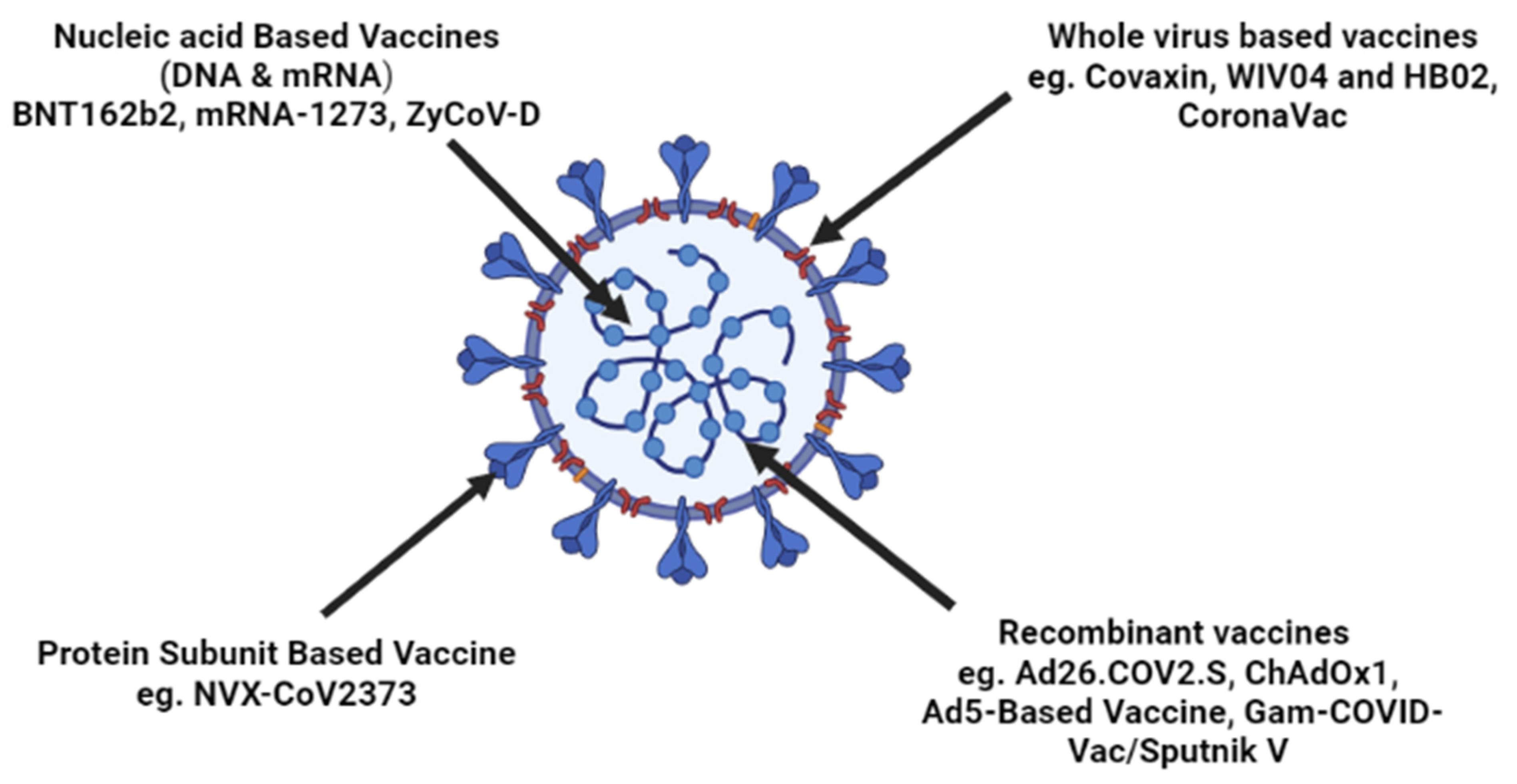 Vaccines | Free Full-Text | A Comprehensive Review on the Current Vaccines  and Their Efficacies to Combat SARS-CoV-2 Variants