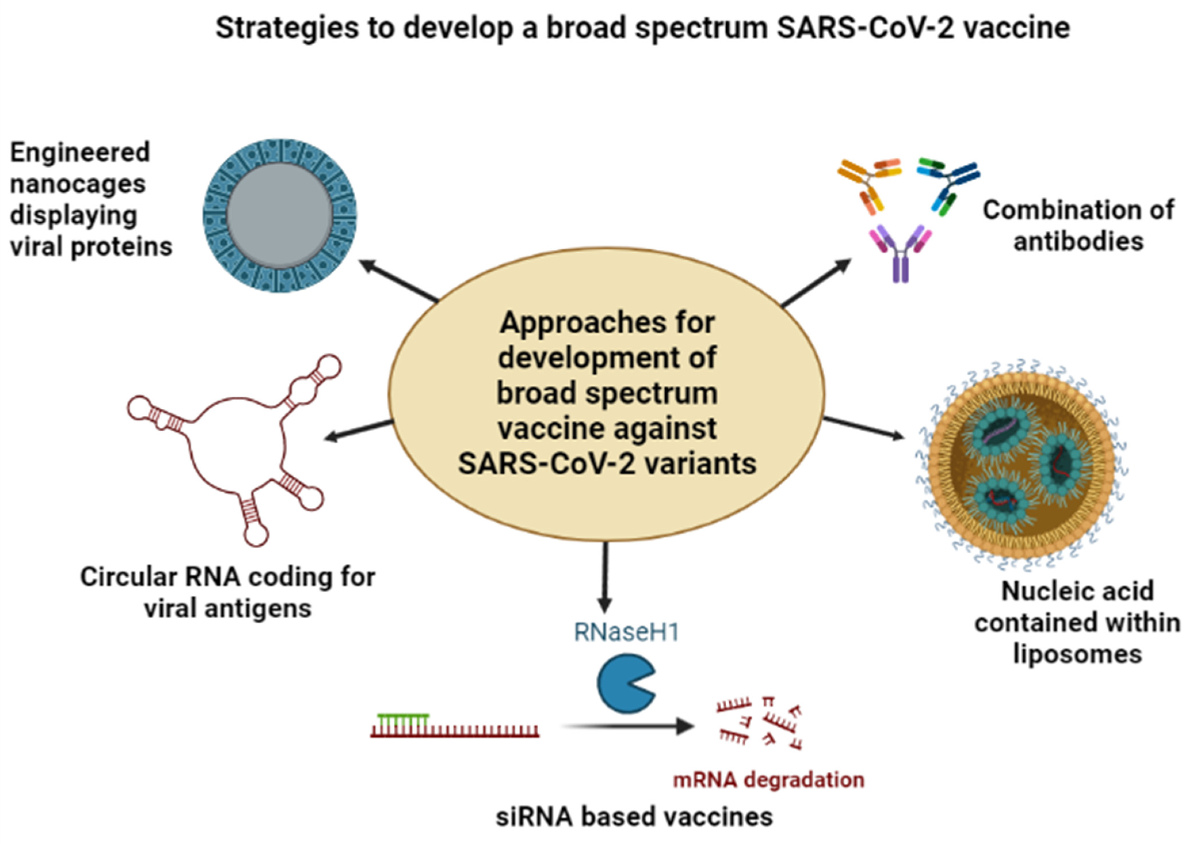 Vaccines 10 01655 g002 Vaccines 10 01655 g002