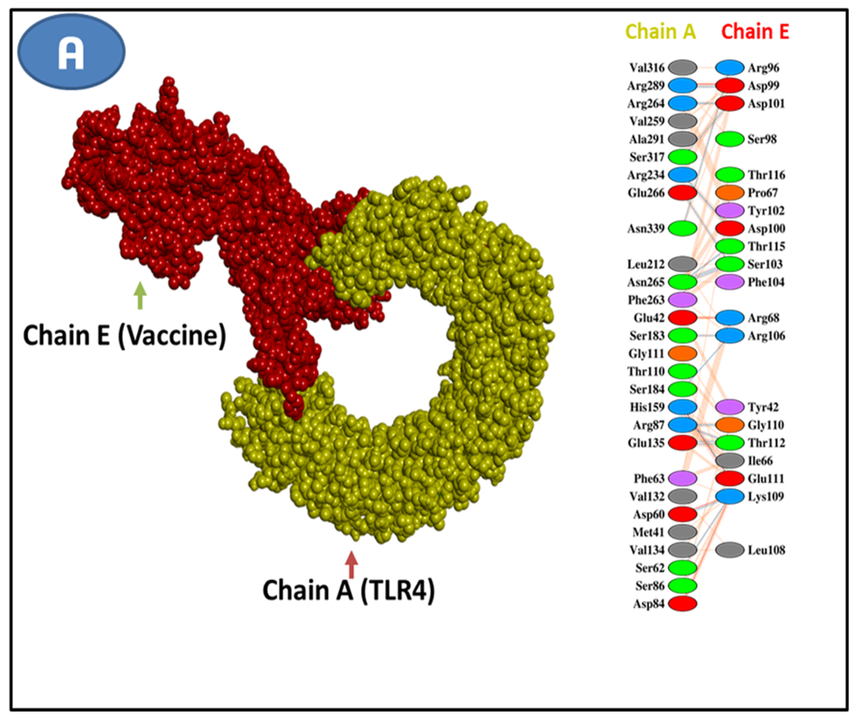 Vaccines 10 01669 g008a Vaccines 10 01669 g008a