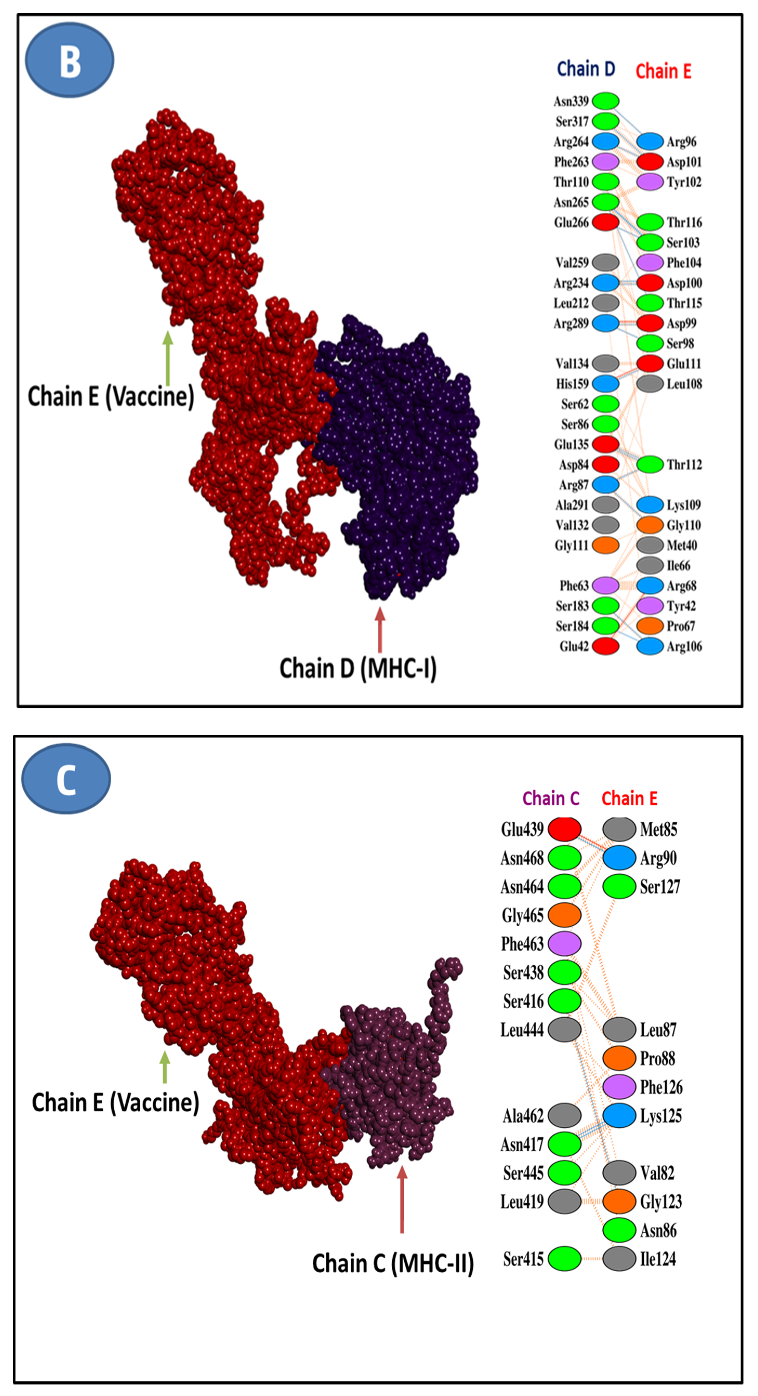 Vaccines 10 01669 g008b Vaccines 10 01669 g008b