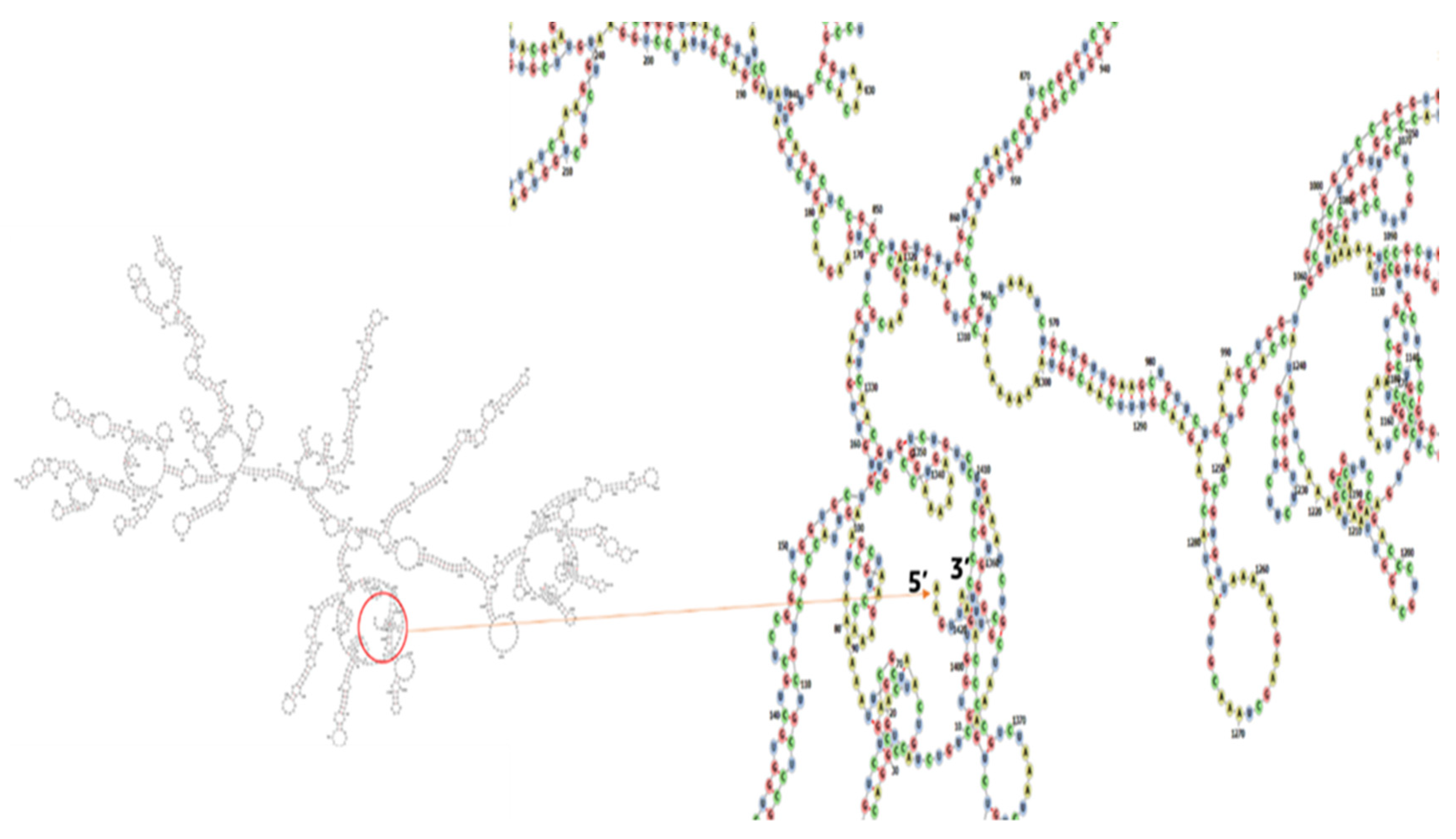 Vaccines 10 01669 g015 Vaccines 10 01669 g015