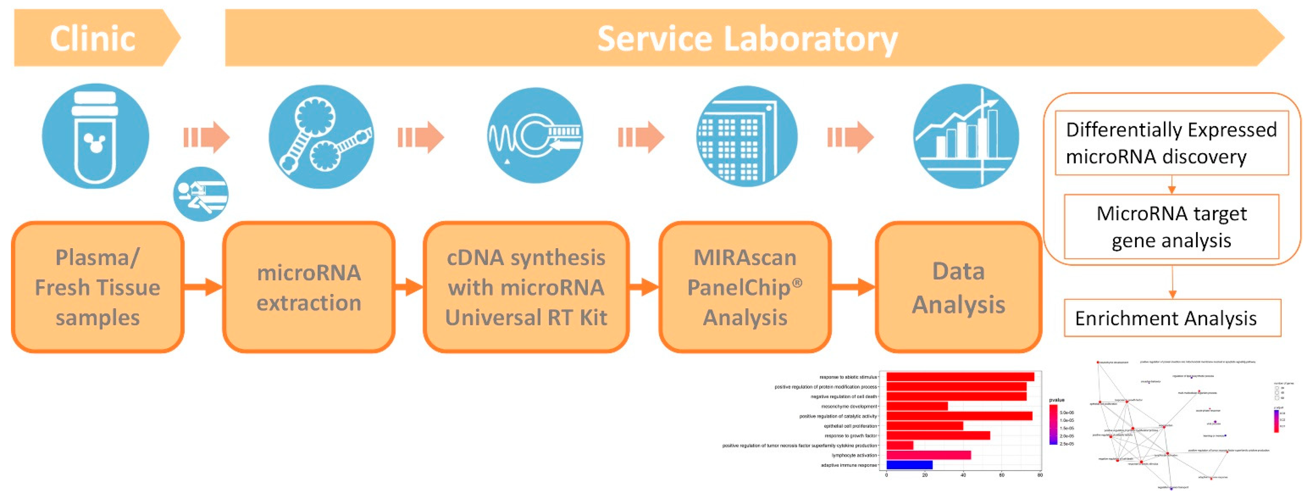Vaccines 10 01681 g002