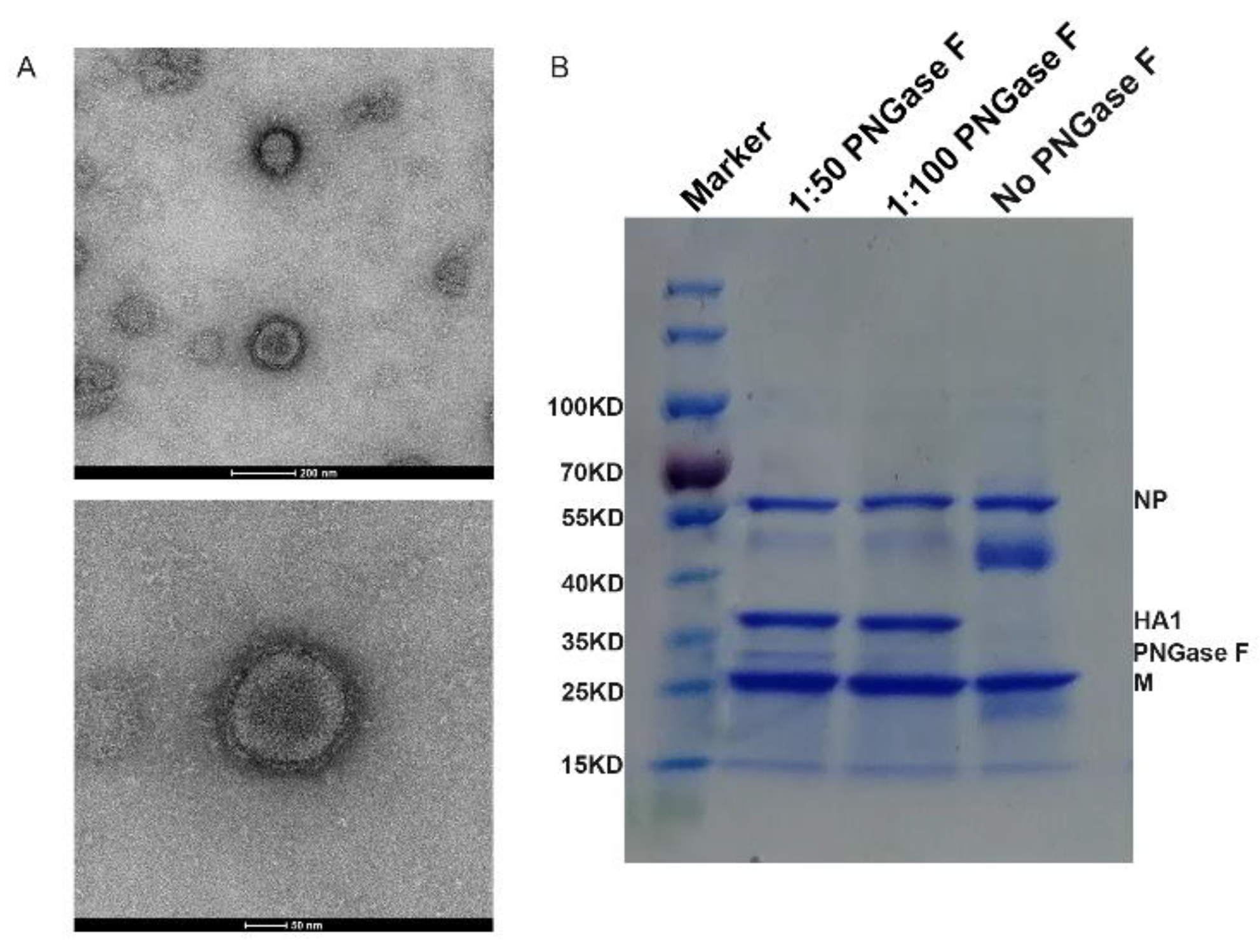 Vaccines 10 01683 g001