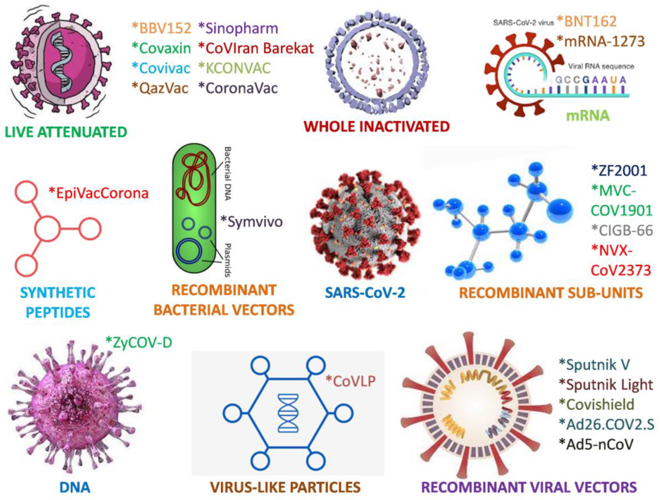 Vaccines 10 01689 g001