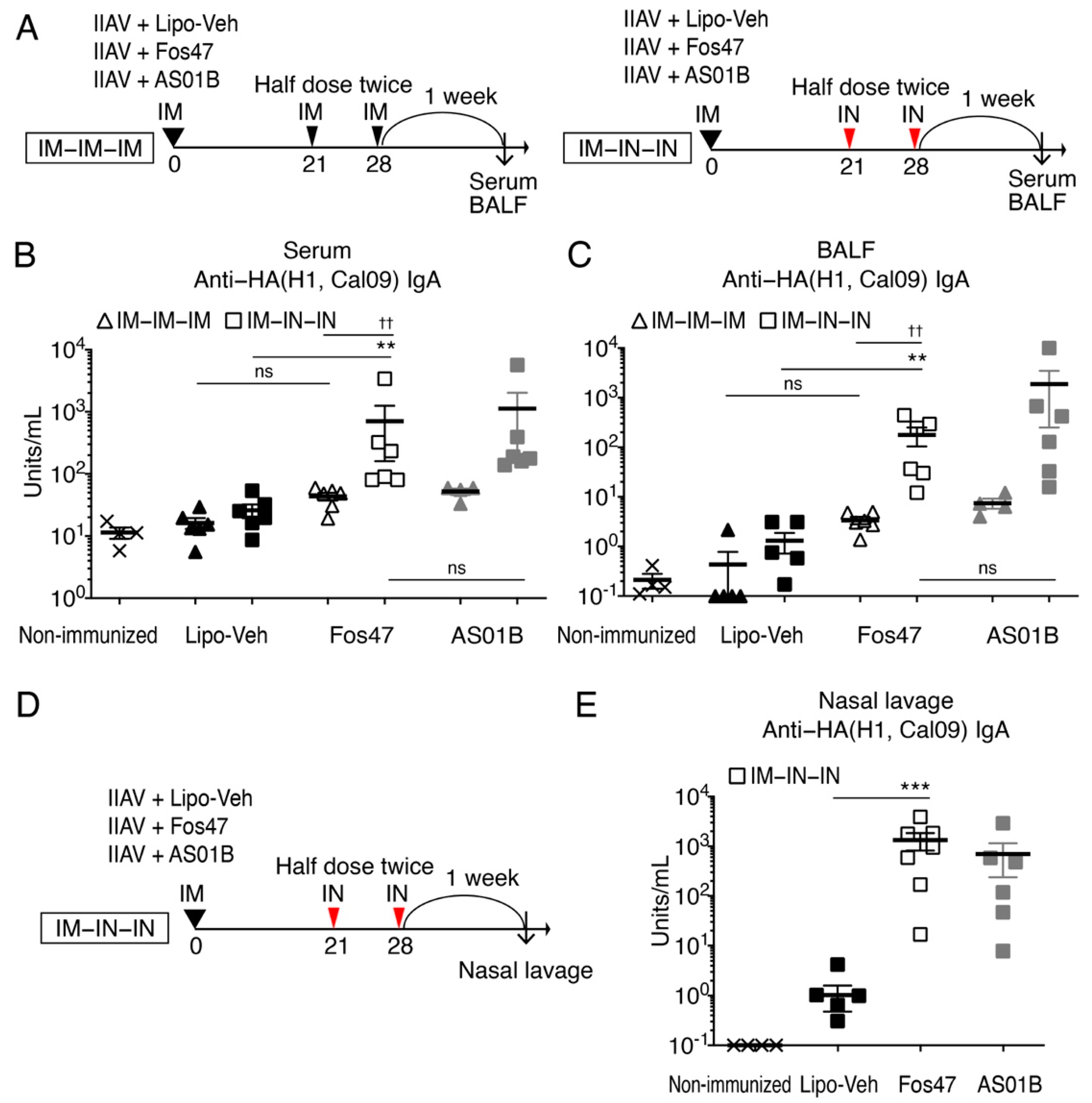 Vaccines 10 01694 g001