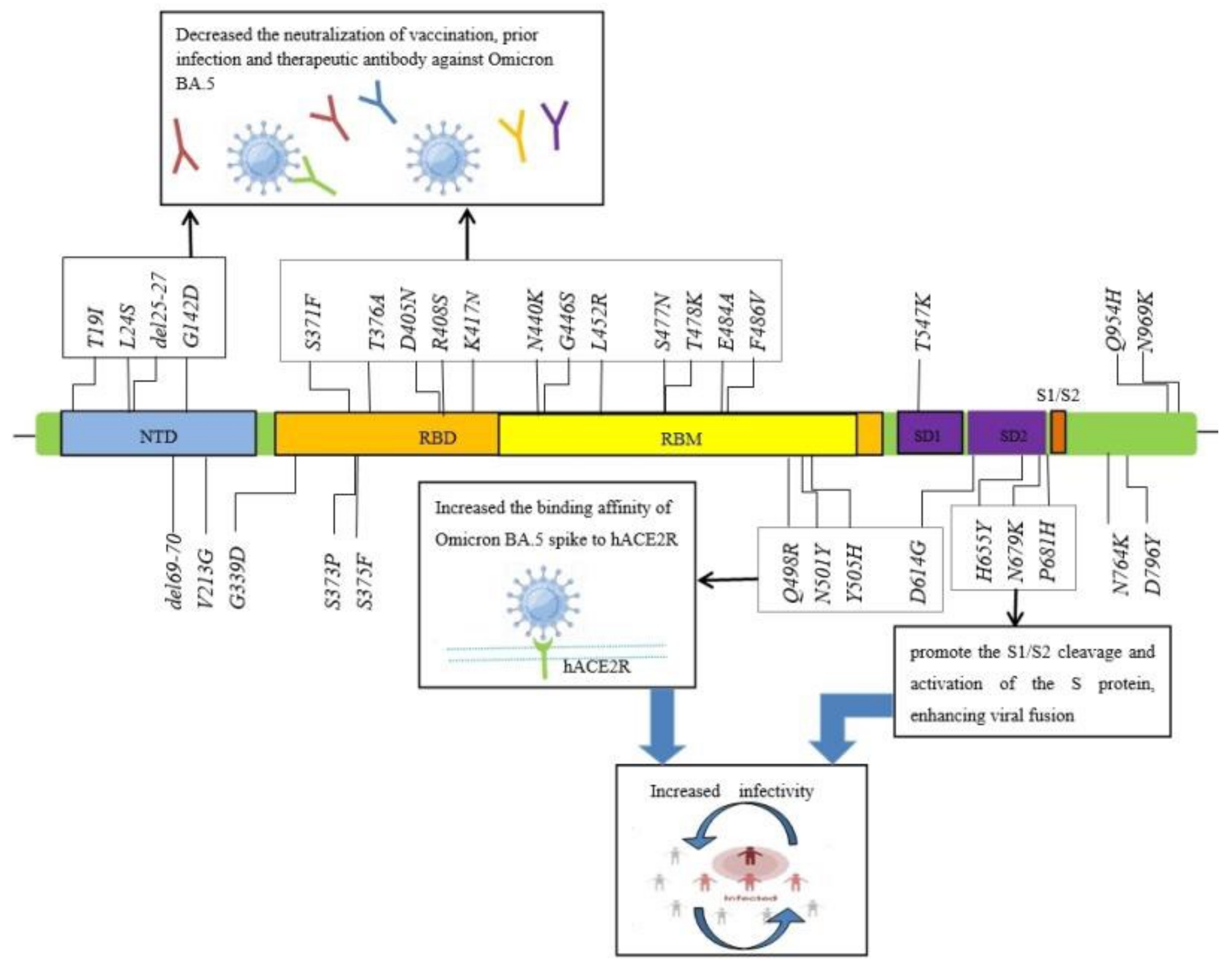 Vaccines 10 01699 g003