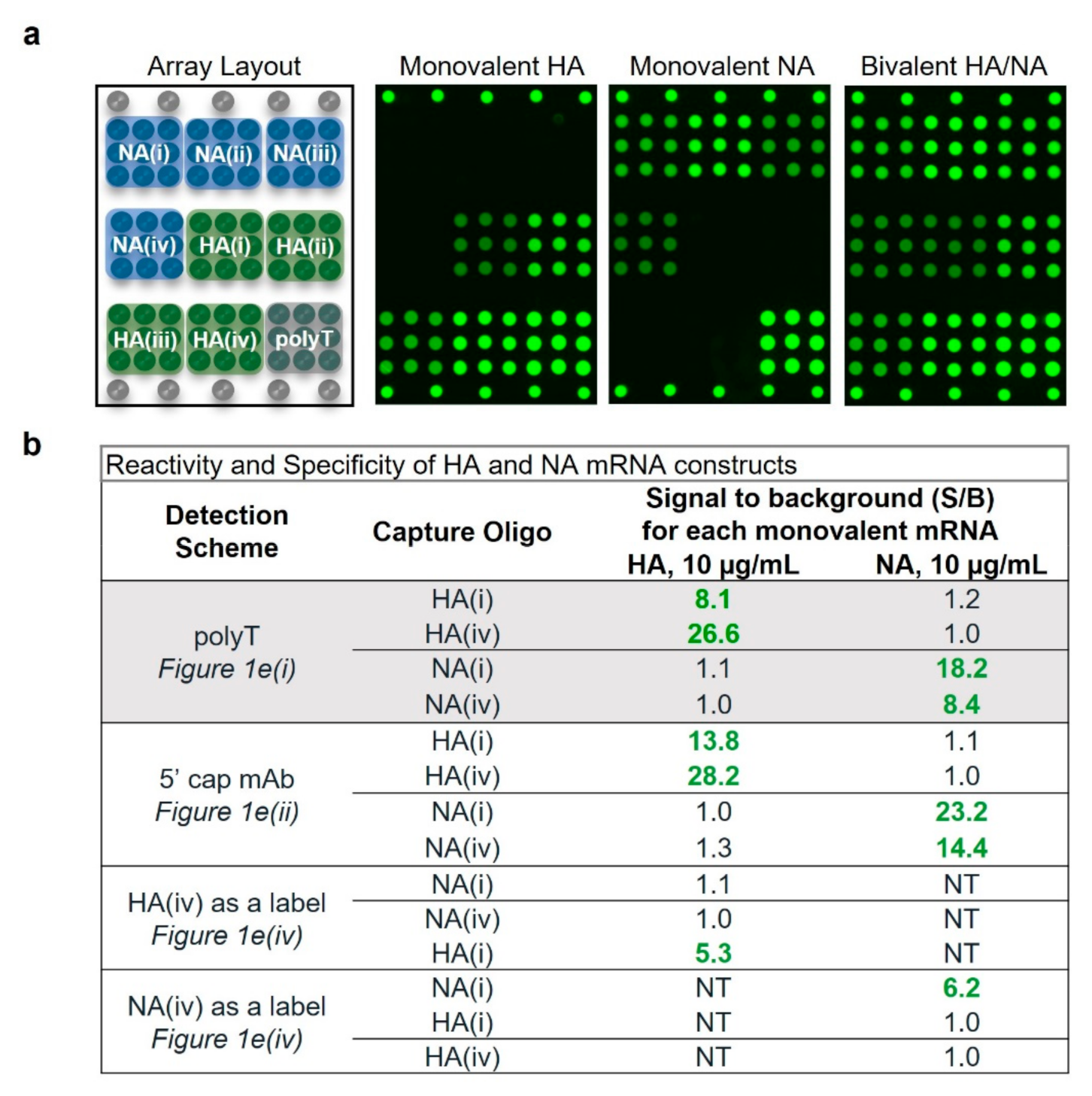 Vaccines 10 01704 g002