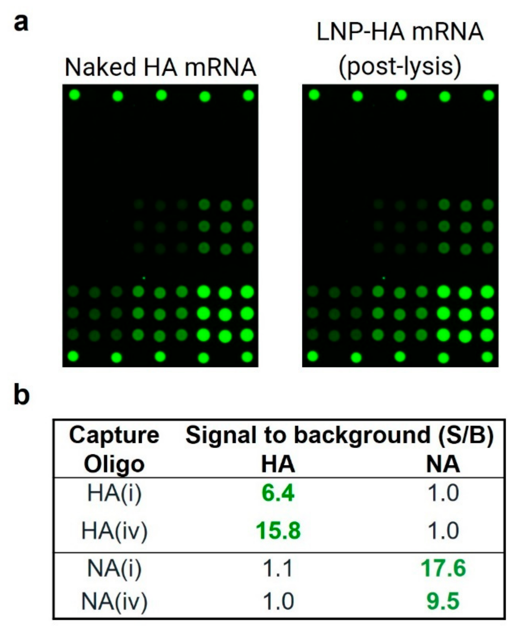 Vaccines 10 01704 g005