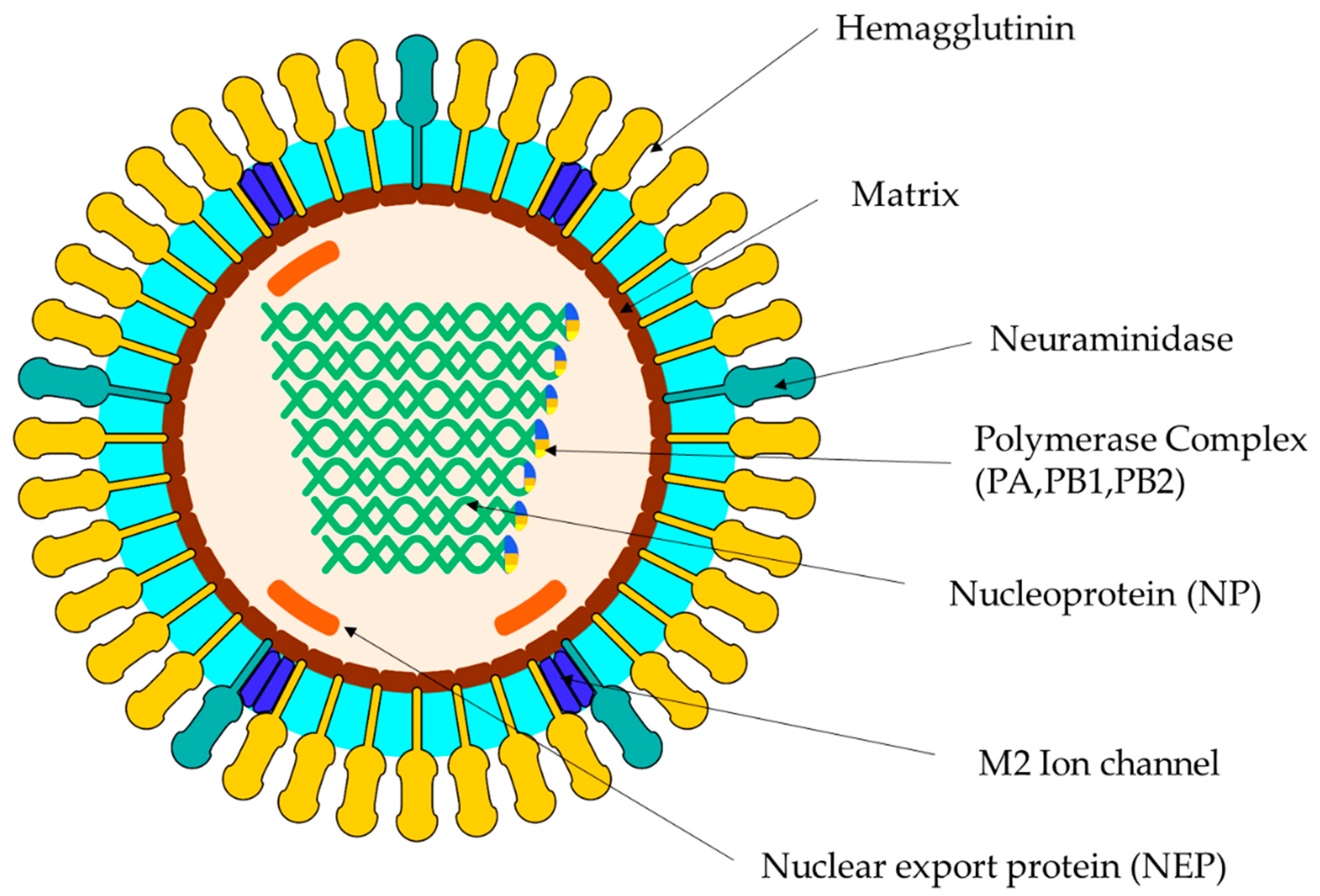 Vaccines 10 01718 g001