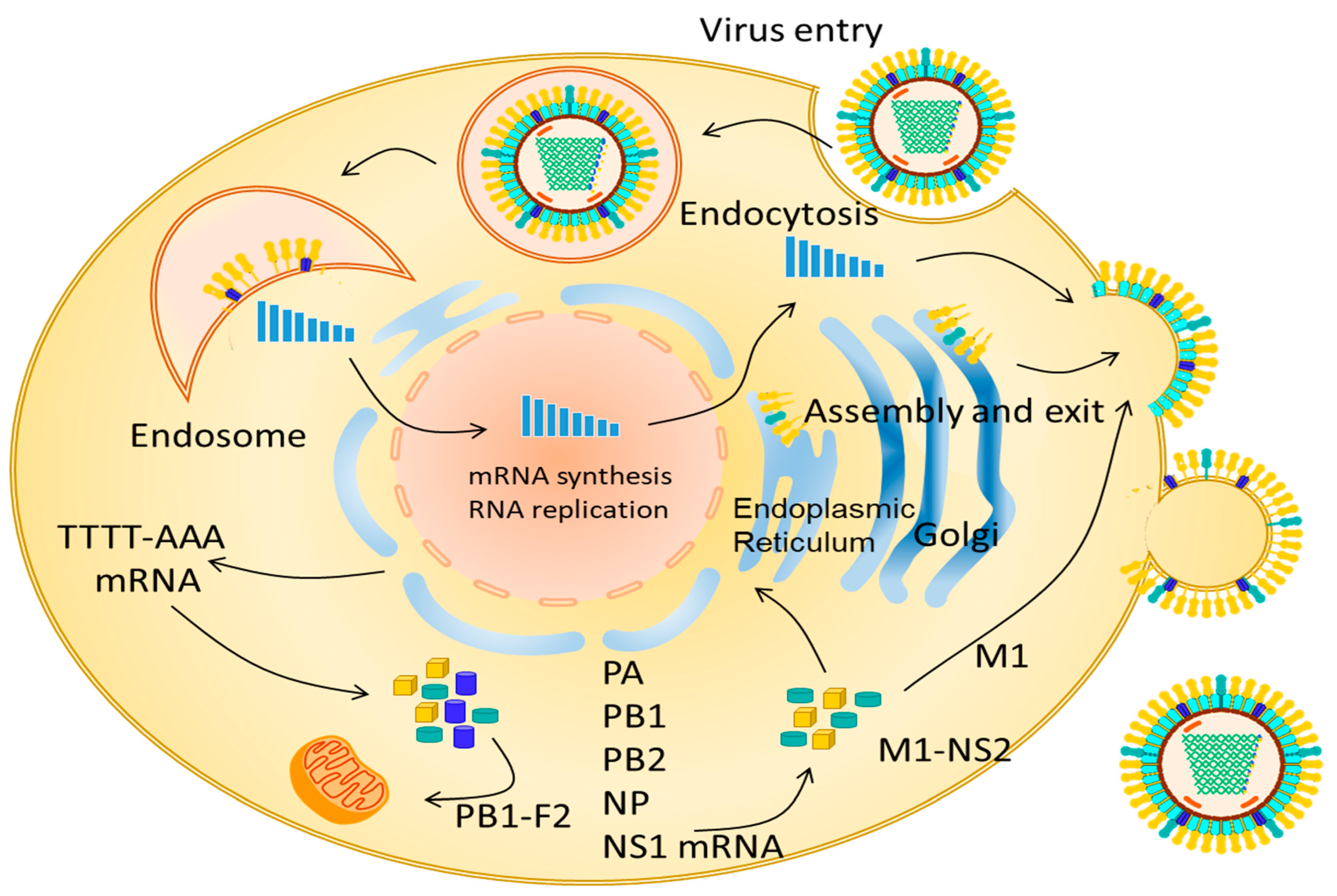 Vaccines 10 01718 g002