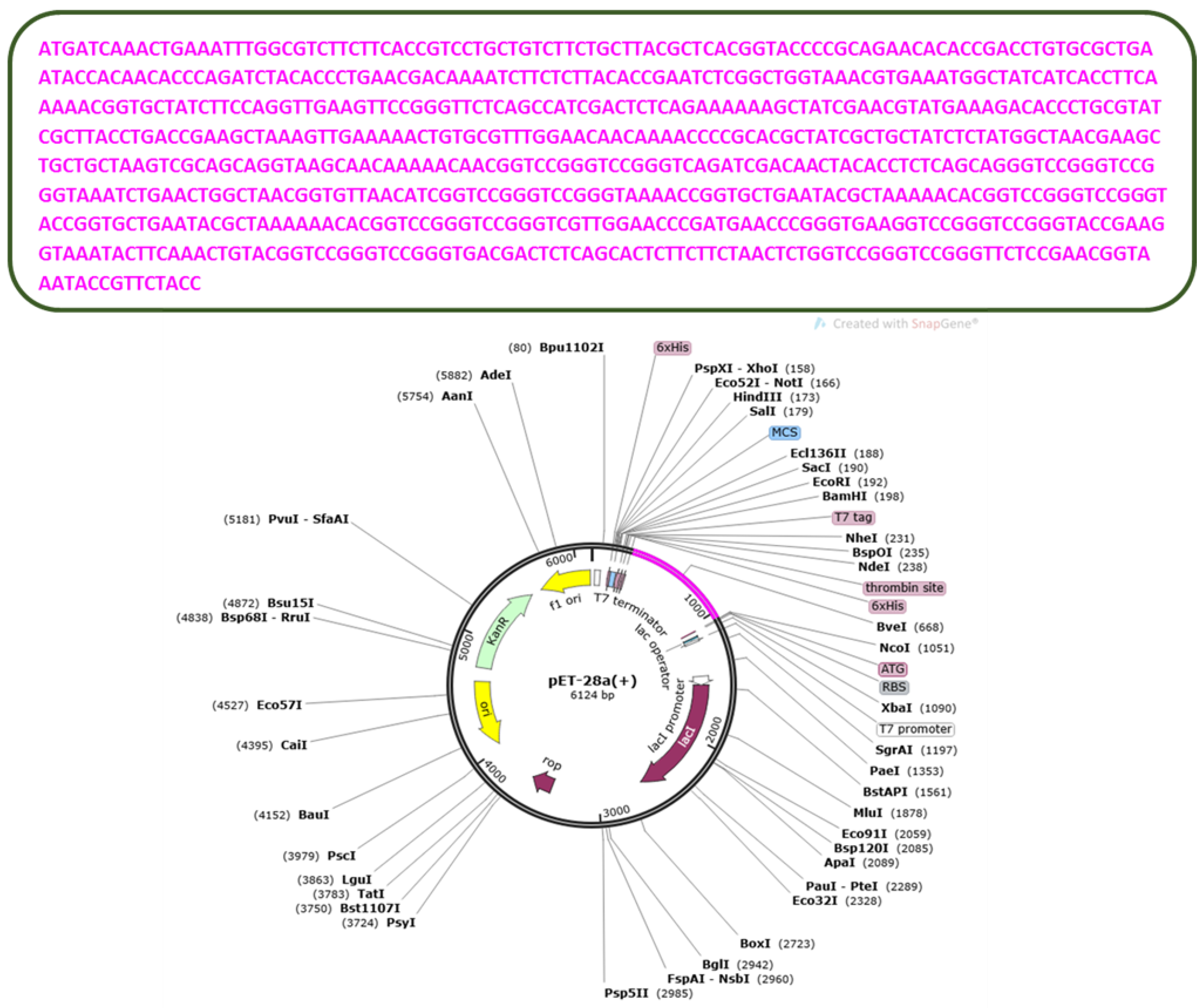 Vaccines 10 01729 g006