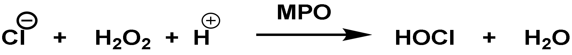 Vaccines 10 01735 g006