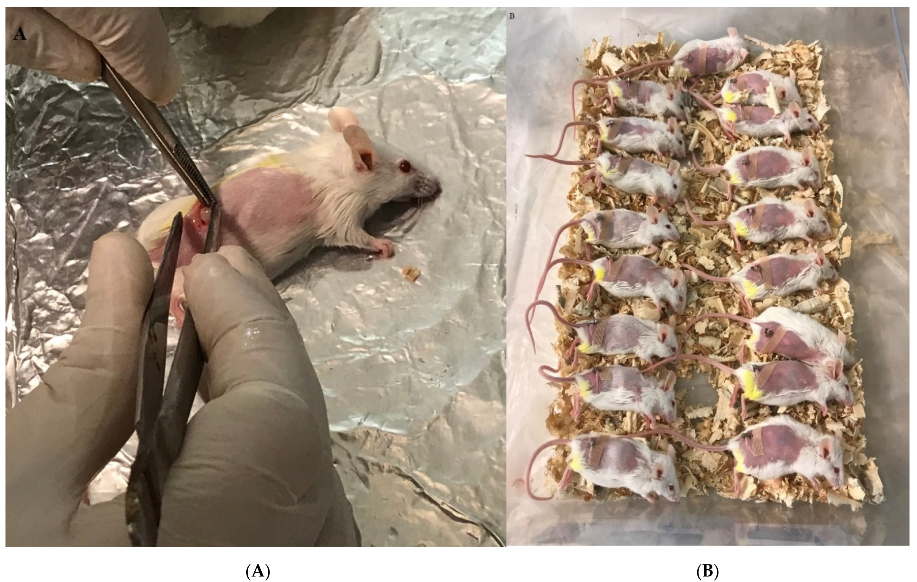 Vaccines 10 01746 g001