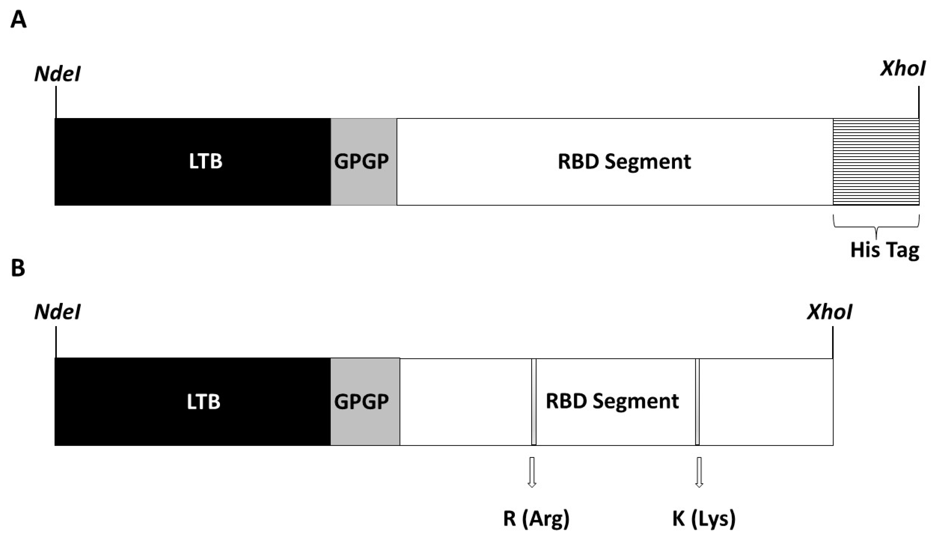 Vaccines 10 01759 g001
