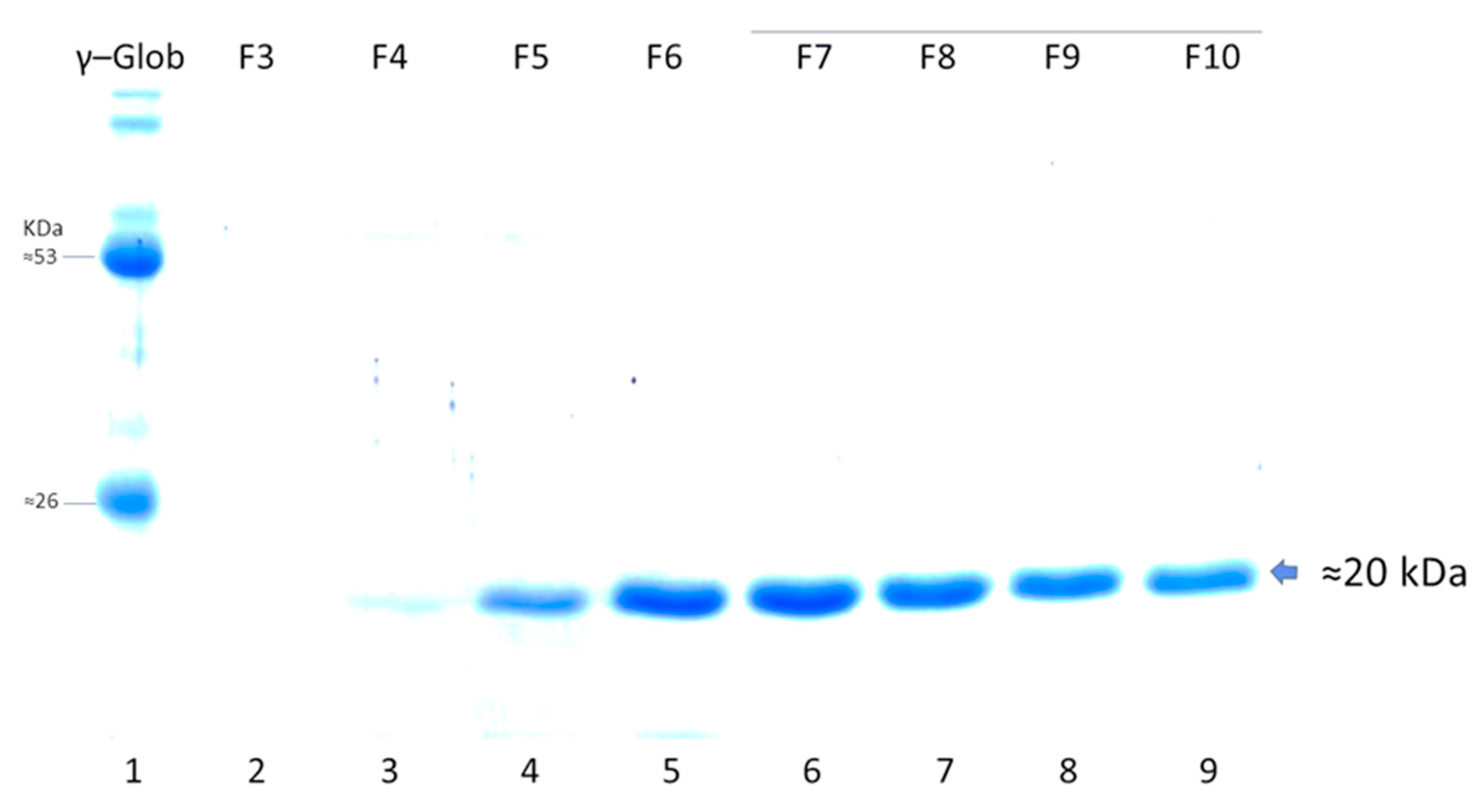Vaccines 10 01759 g007