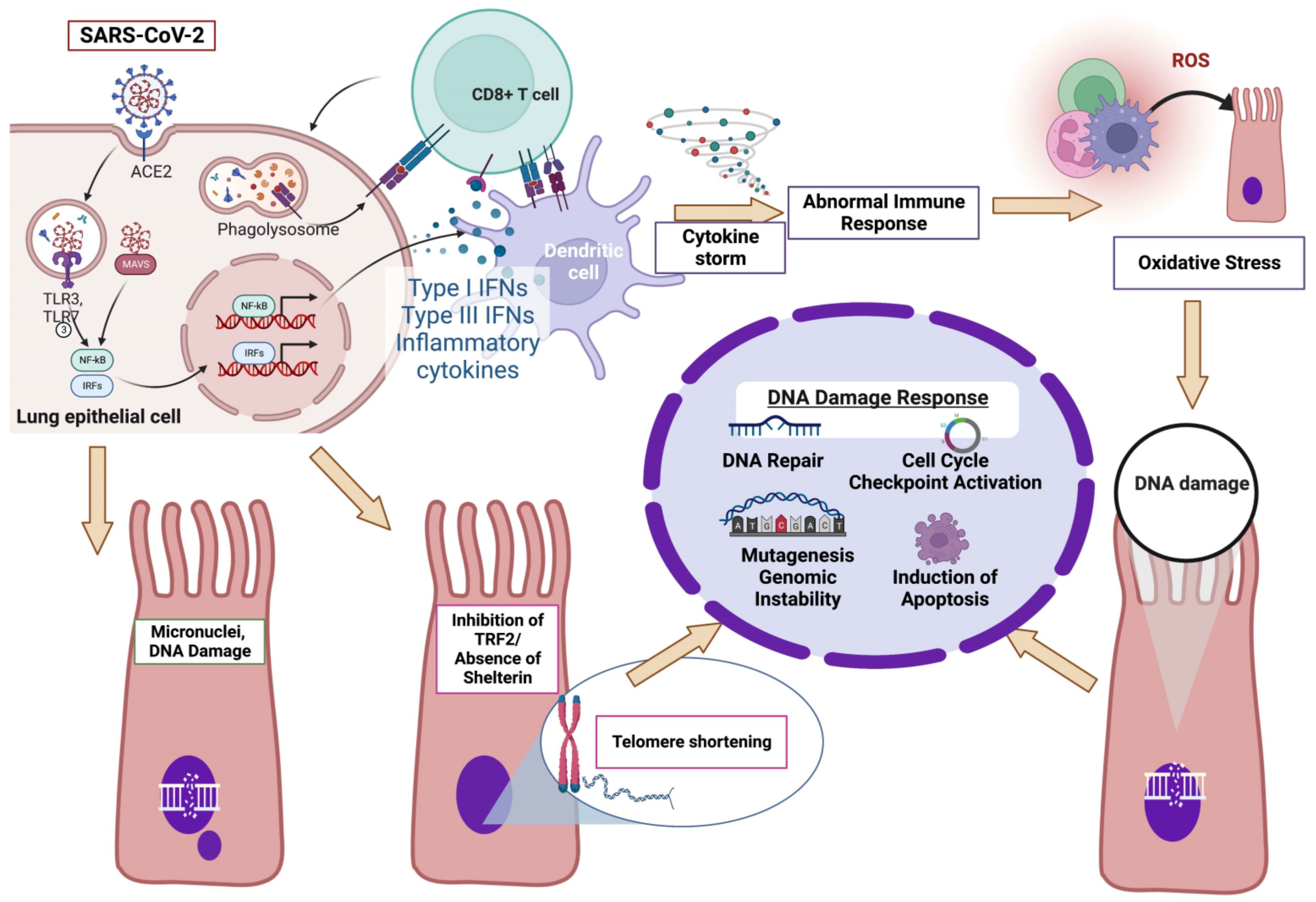 Vaccines 10 01764 g002