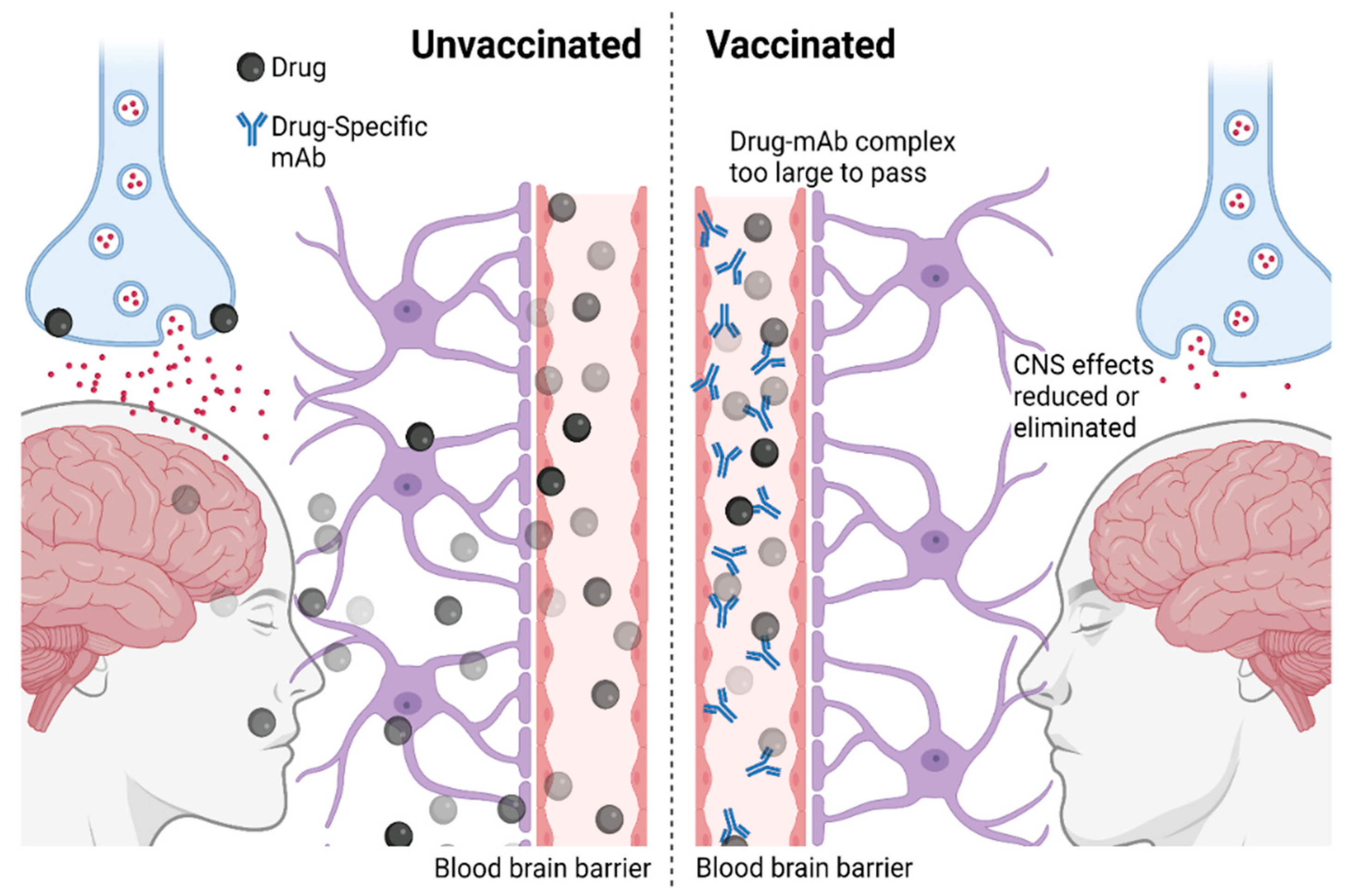 Vaccines 10 01778 g001