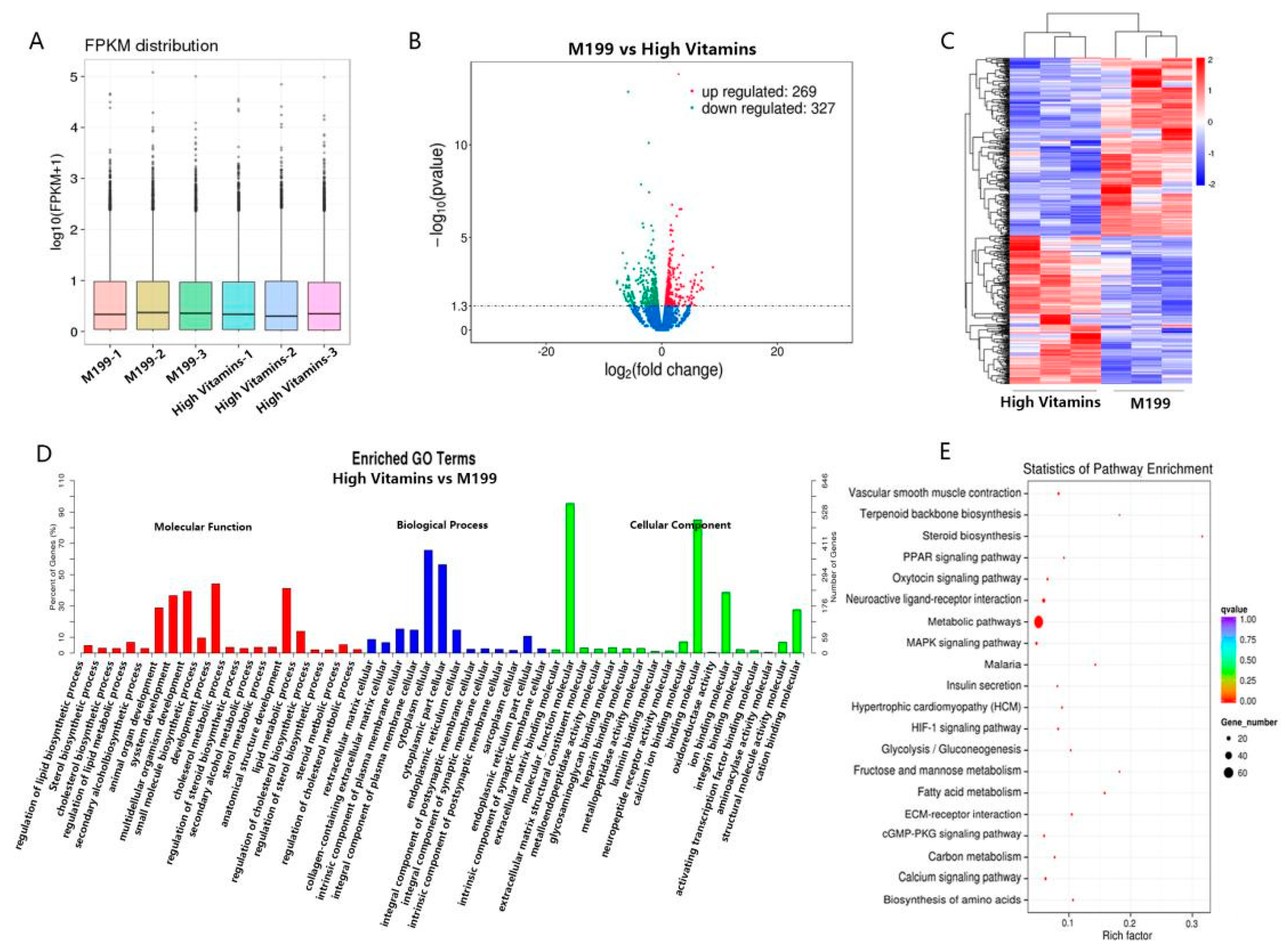 Vaccines 10 01787 g002 Vaccines 10 01787 g002