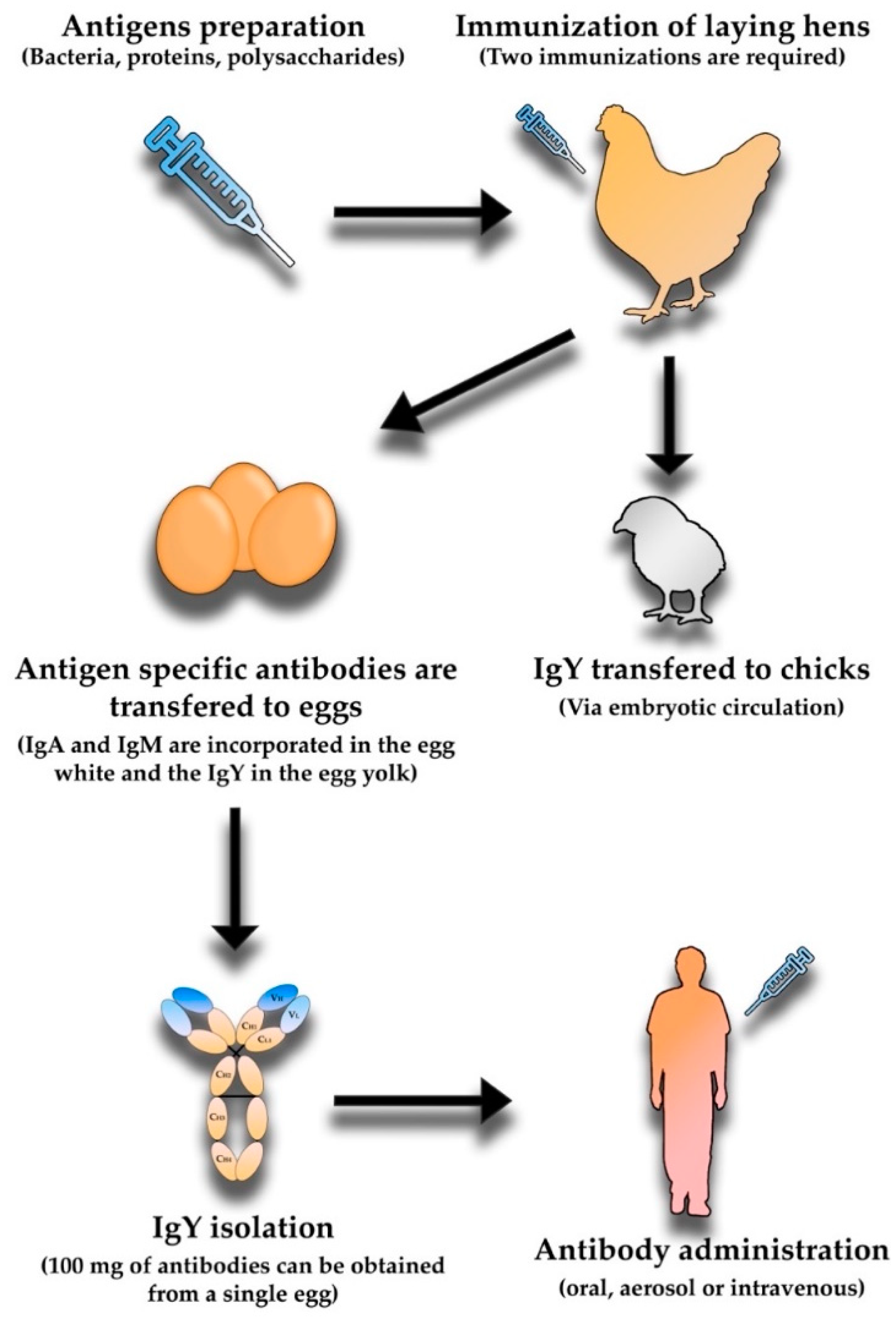 Vaccines 10 01789 g003